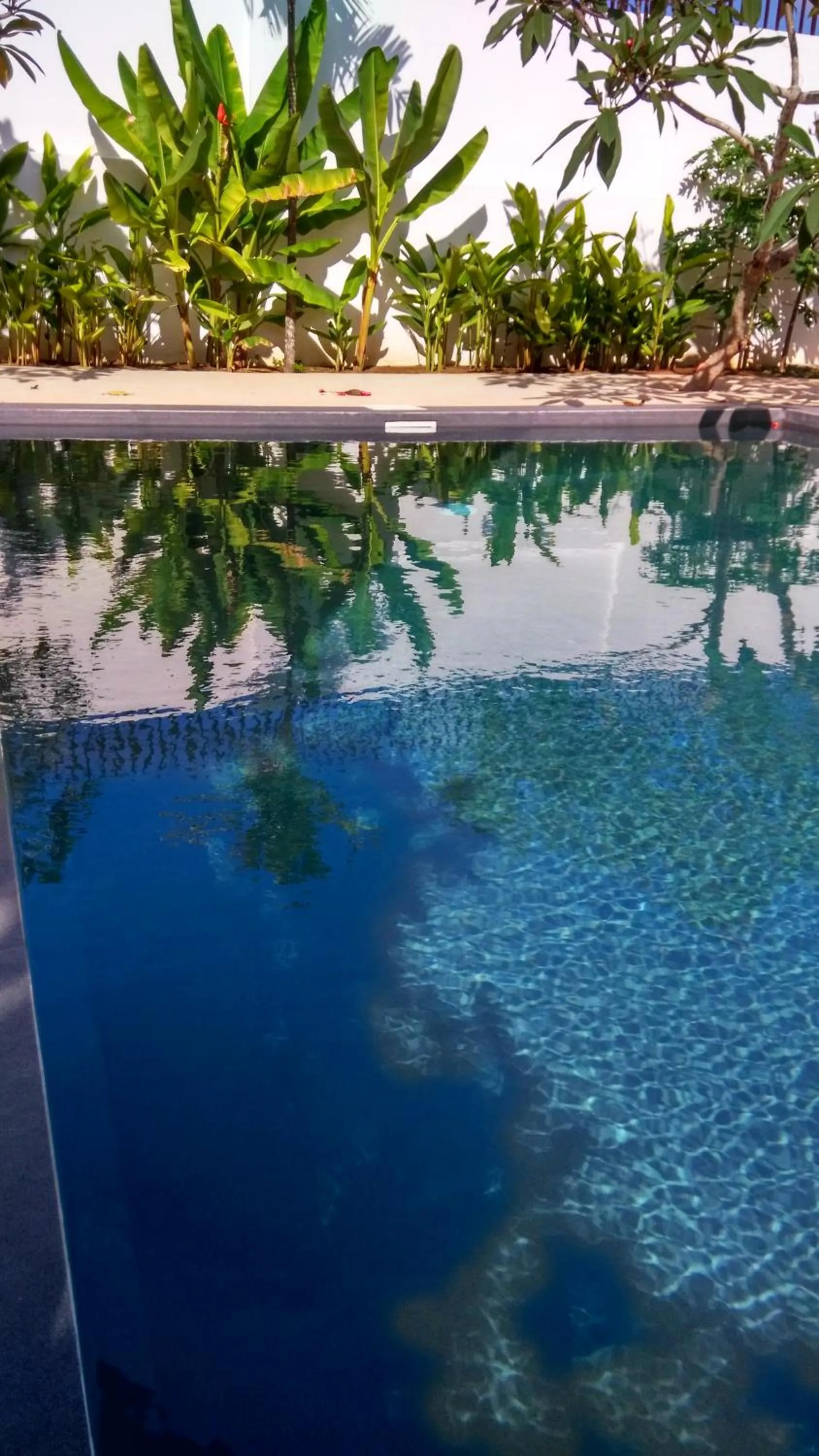 Swimming pool in Villa Kalachuchi V.K