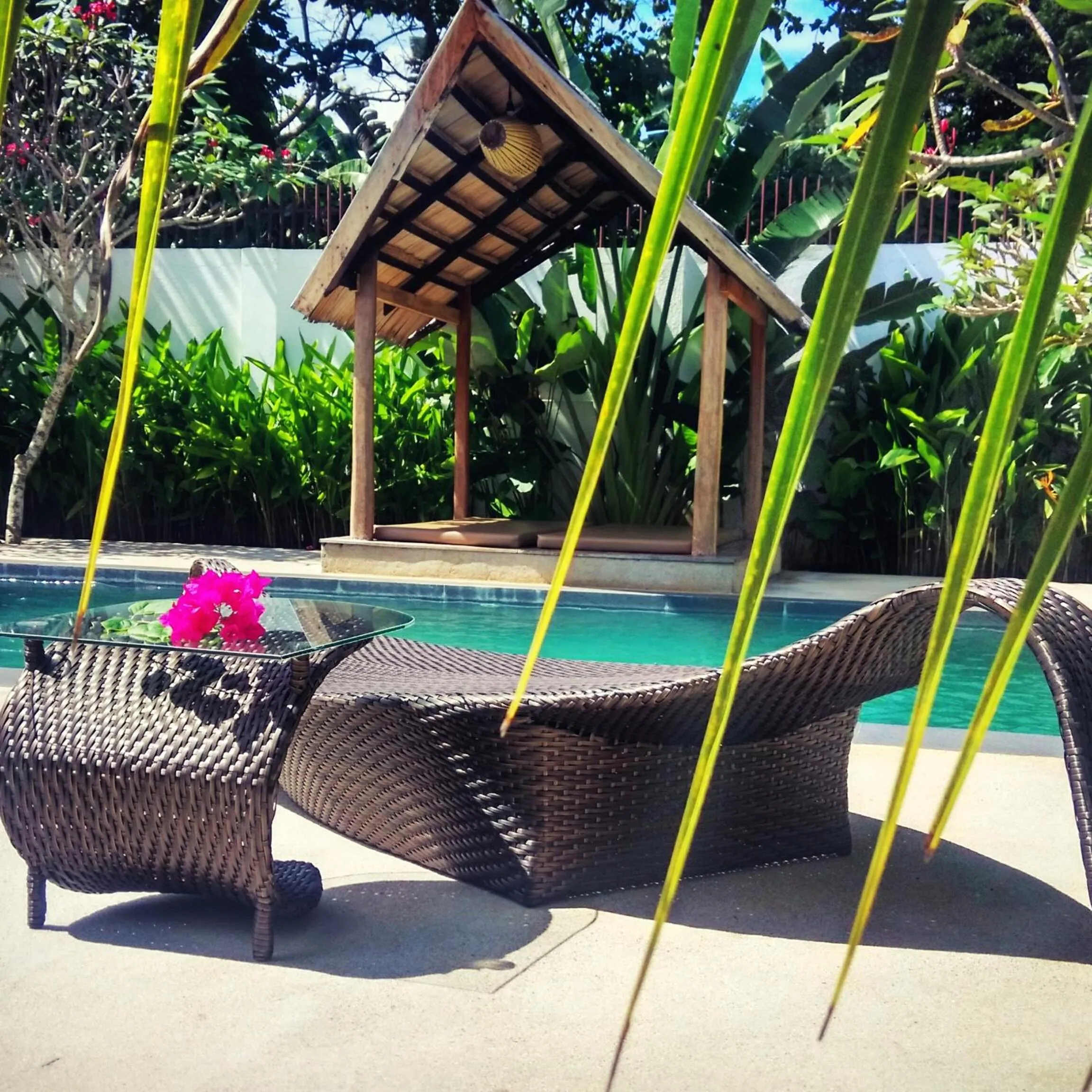 Pool view in Villa Kalachuchi V.K