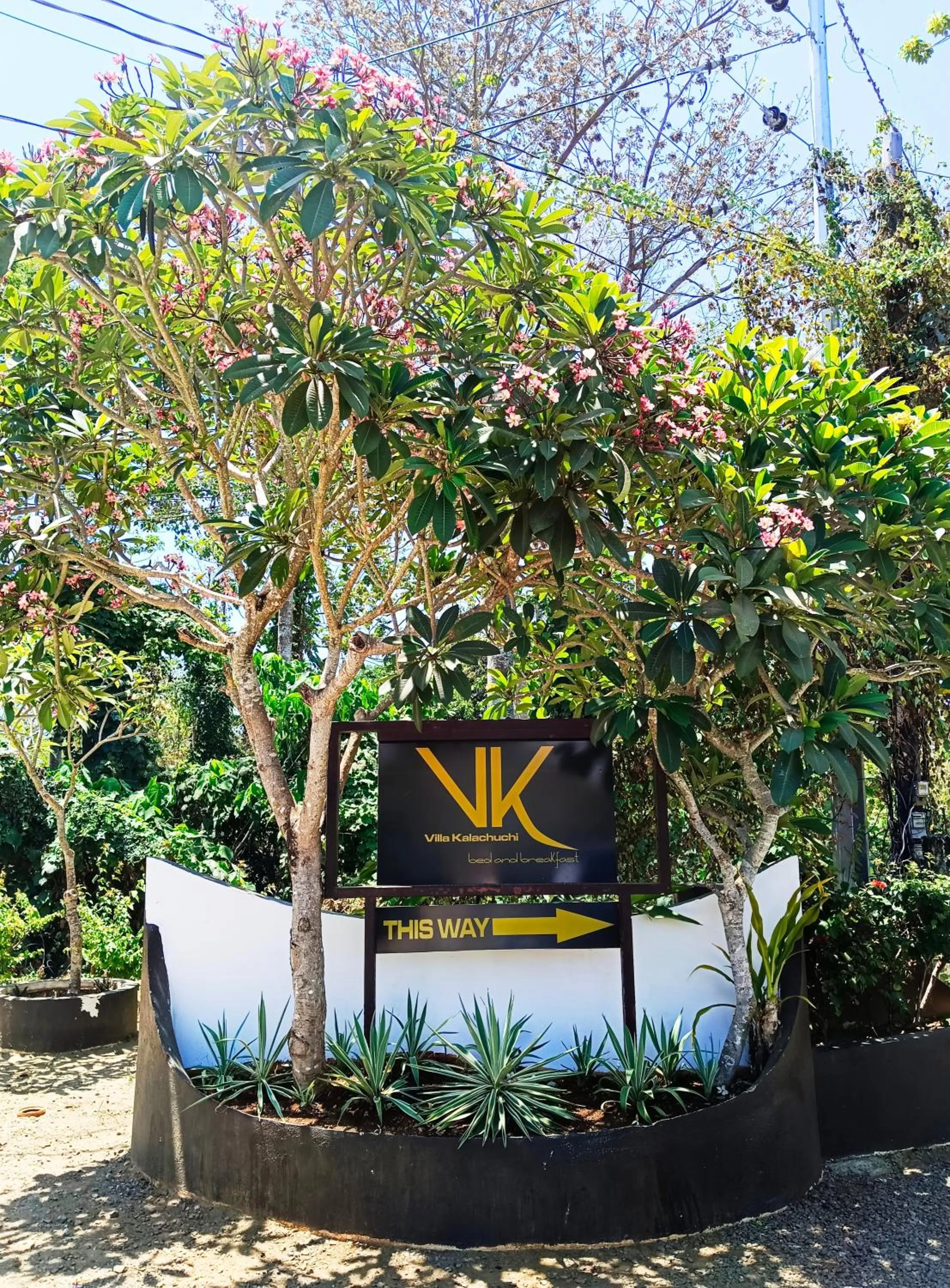 Villa Kalachuchi V.K