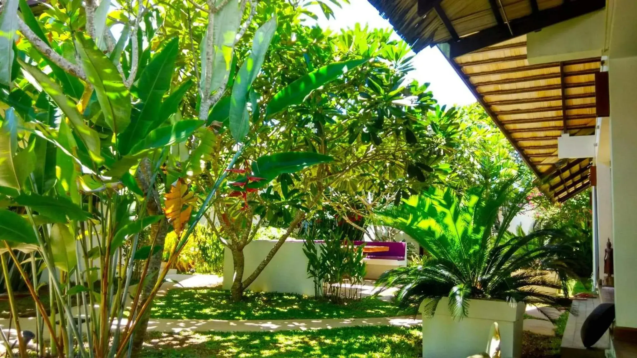 Deluxe Double Room with Balcony in Villa Kalachuchi V.K Deluxe Double Room with Balcony in Villa Kalachuchi V.K