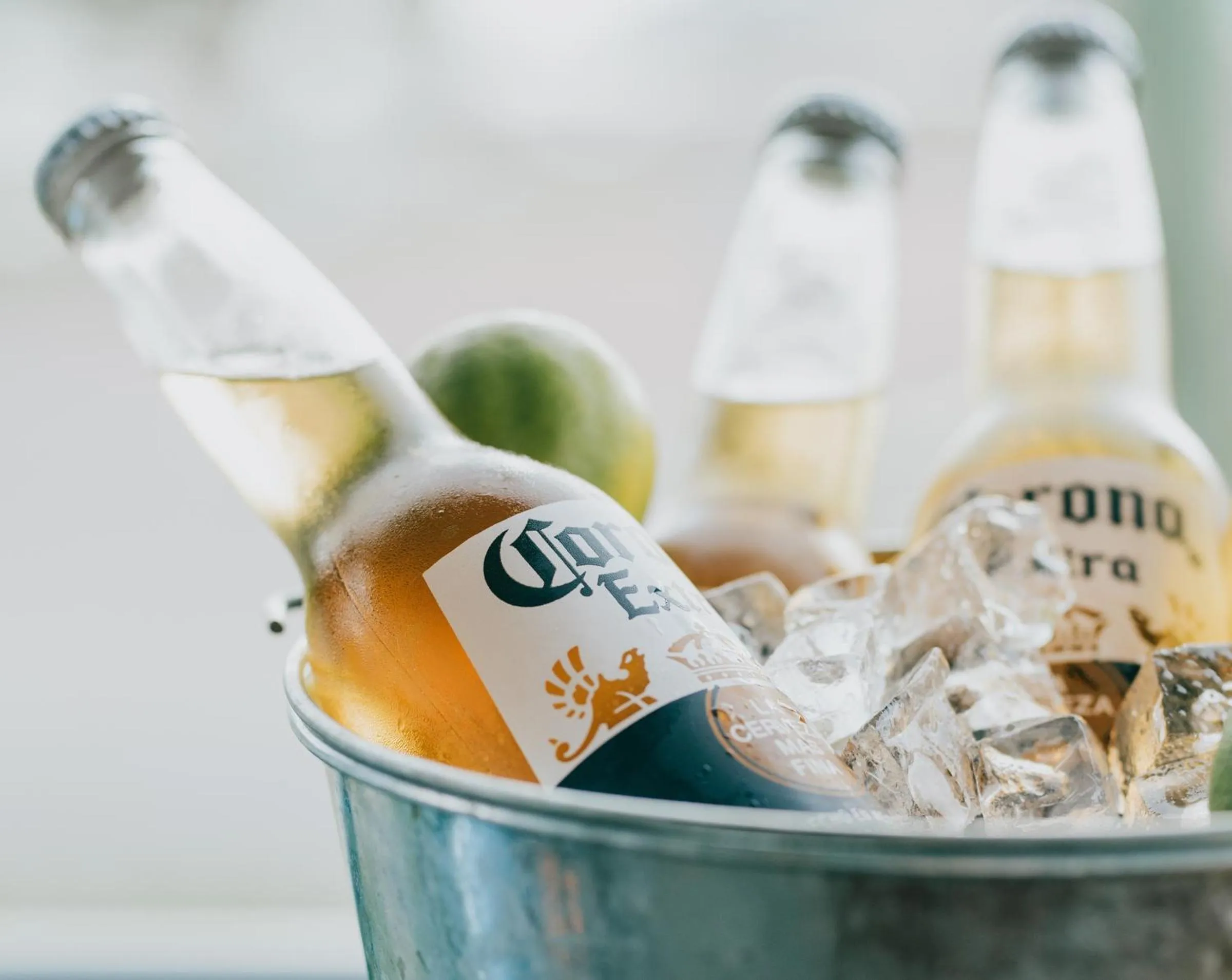 Lounge or bar in Gunyah Hotel