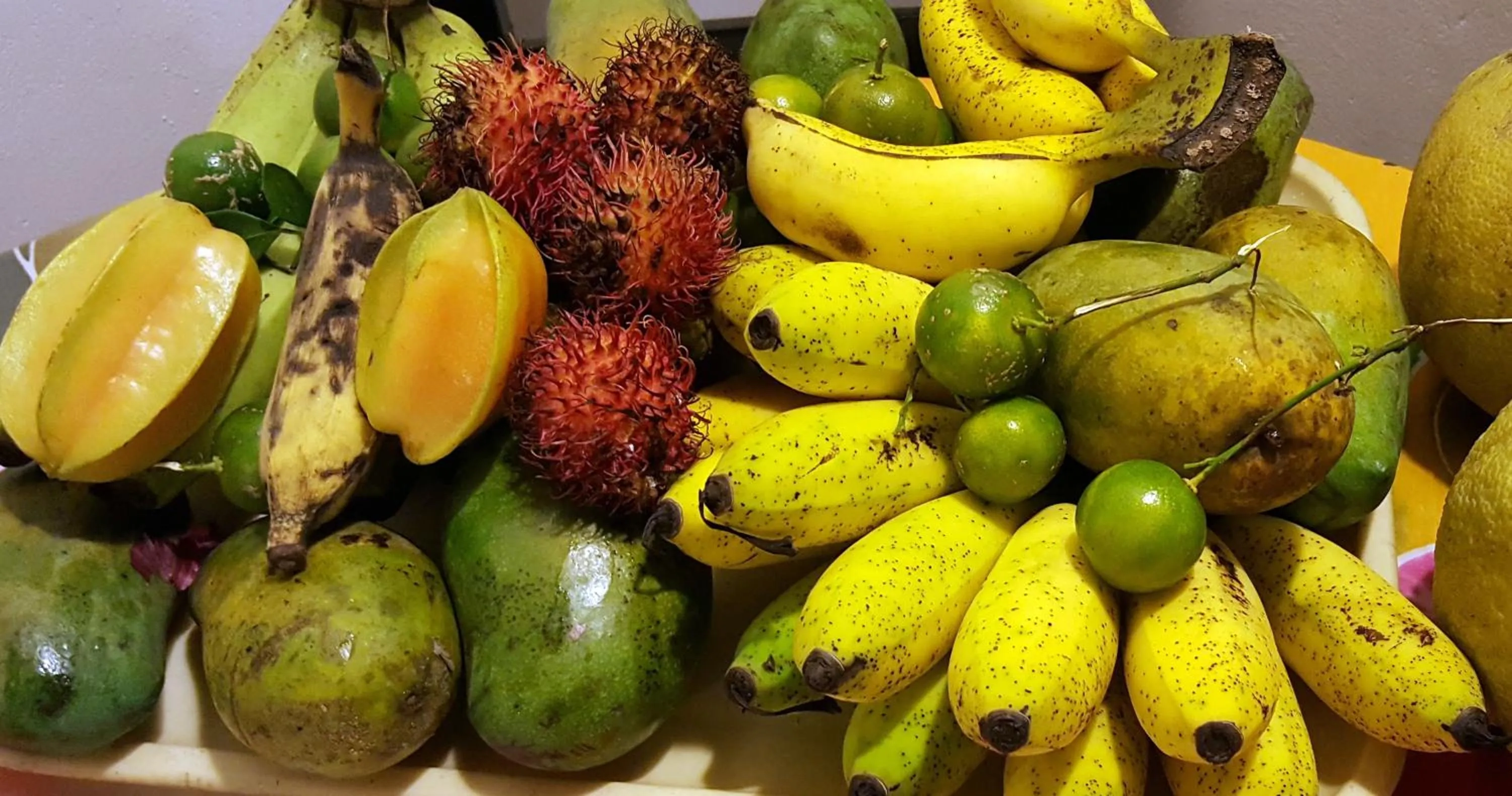 Food in Emildale Villa