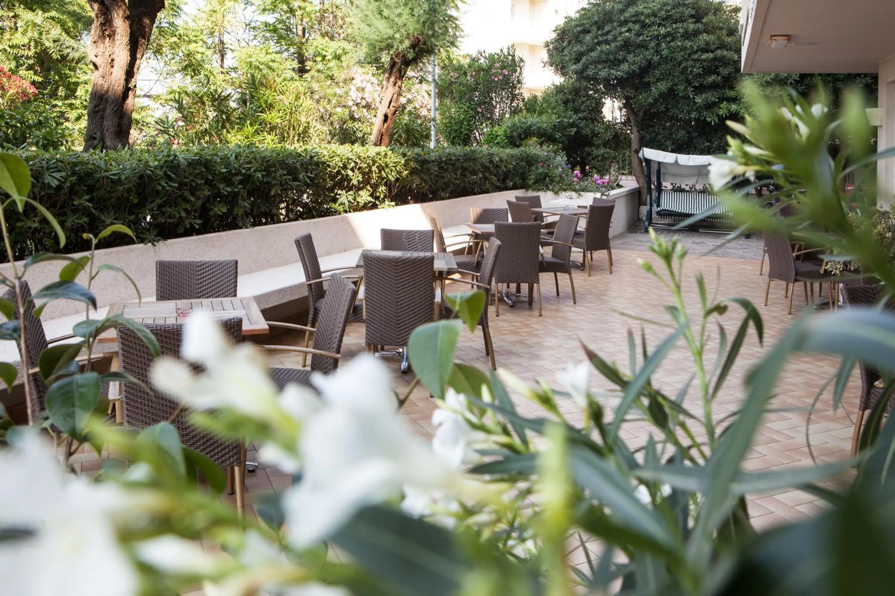 Natural landscape in Hotel Palazzi