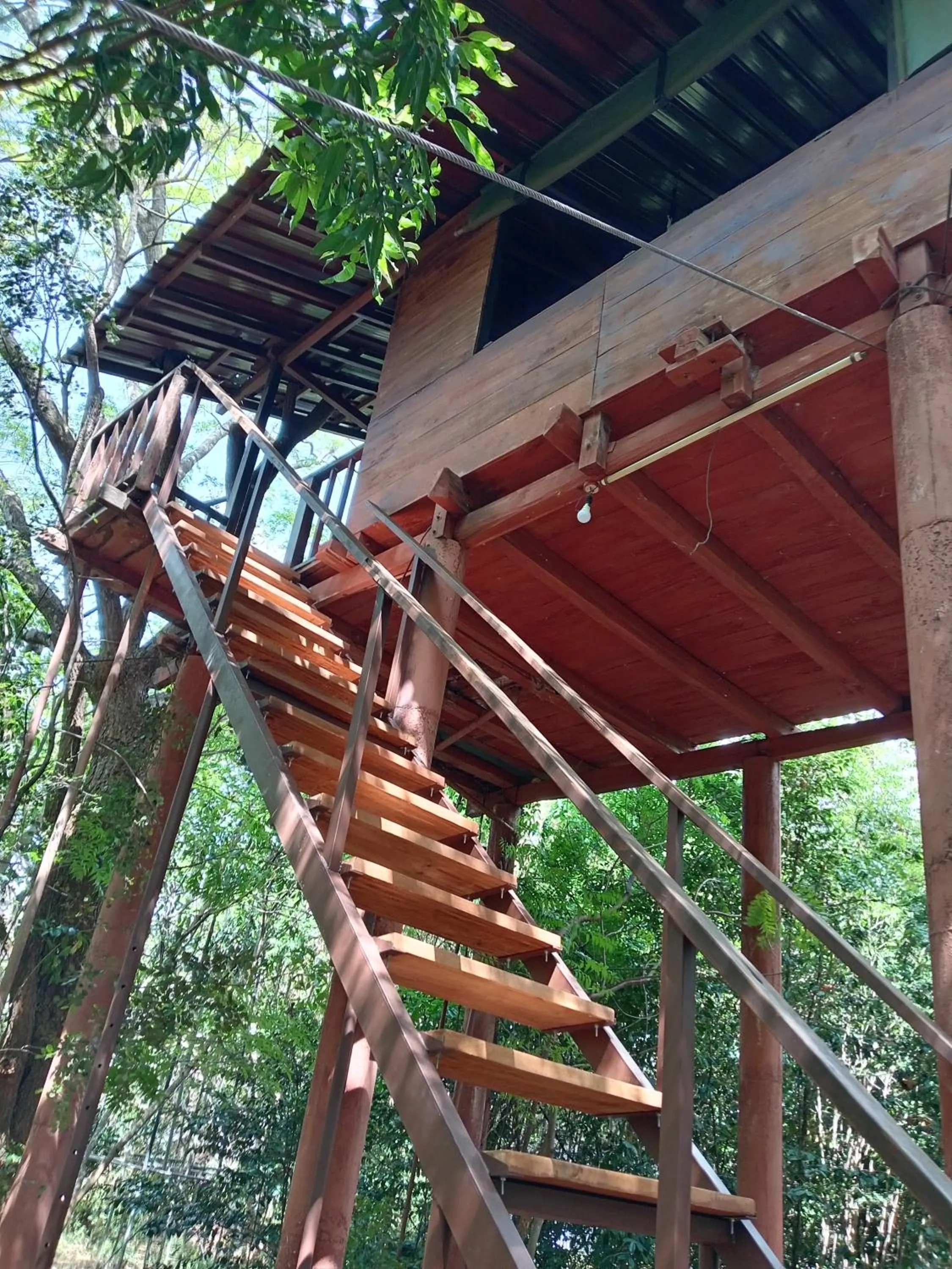 Dambulla Tree House