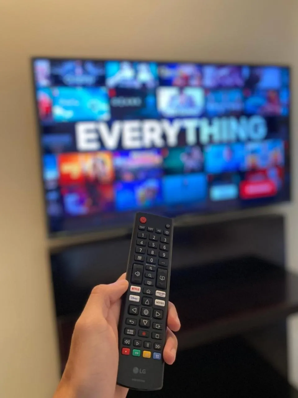 TV and multimedia in Hoi An Canal House