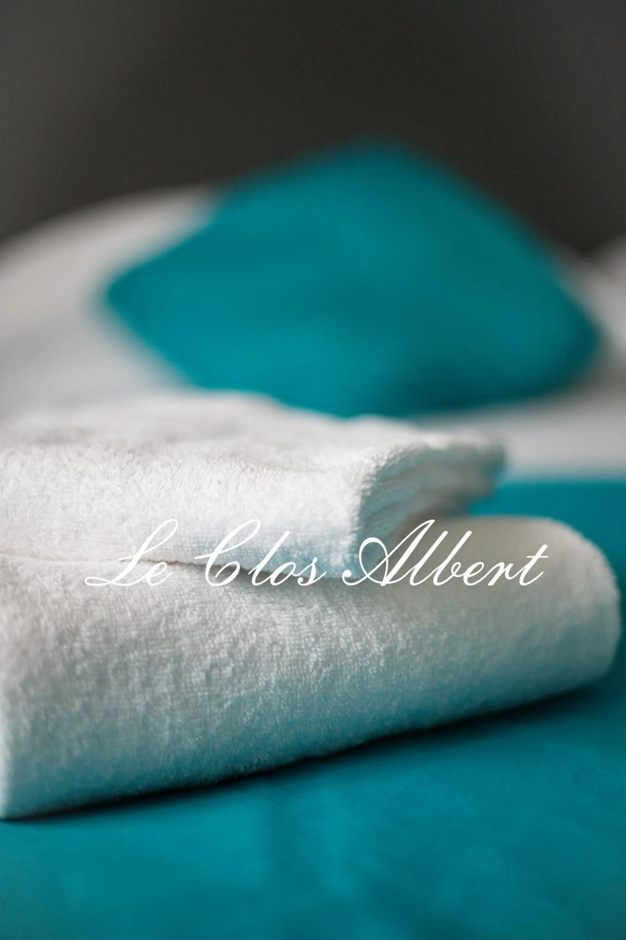 Bed in Le Clos Albert