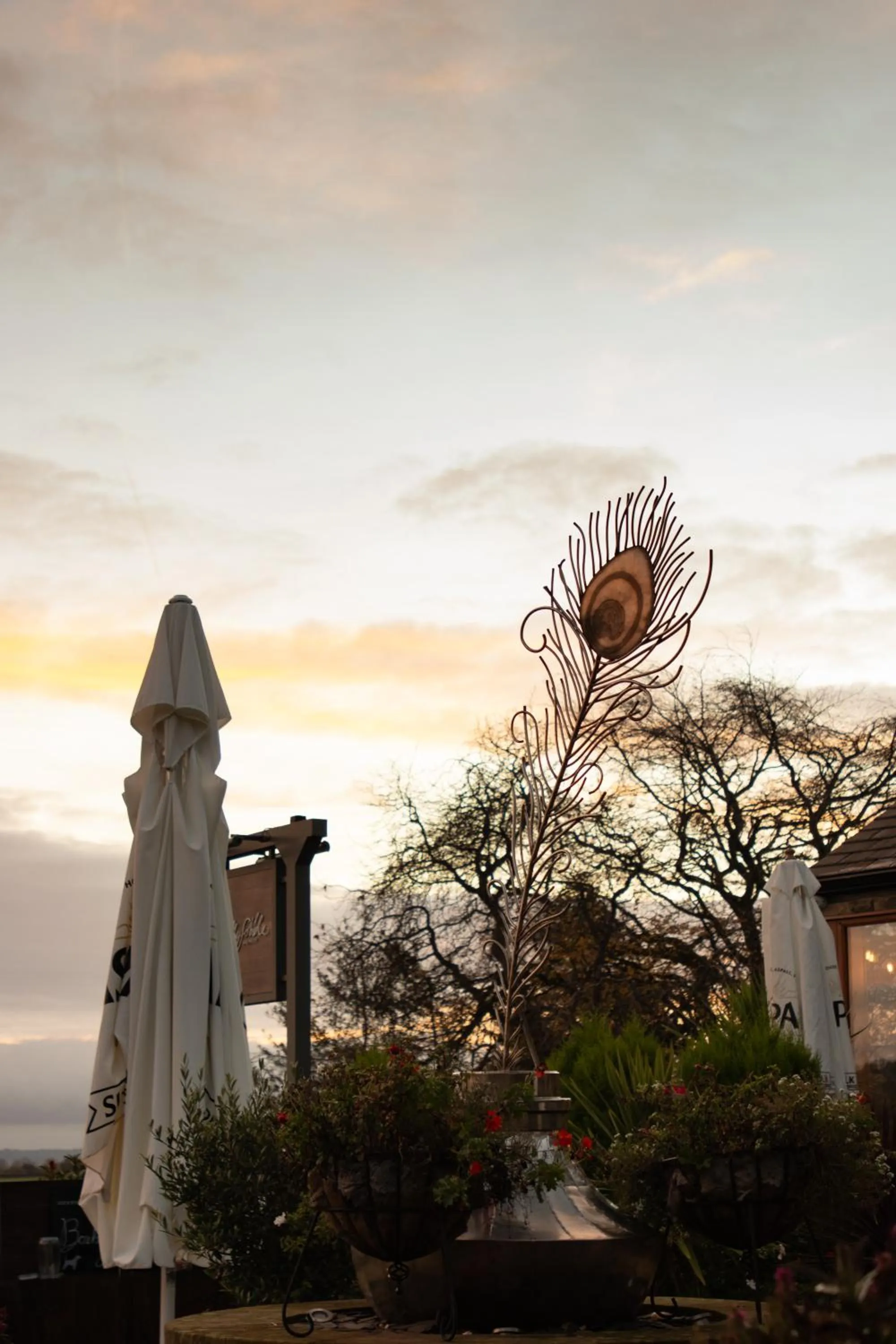 Sunset in The Peacock at Barlow