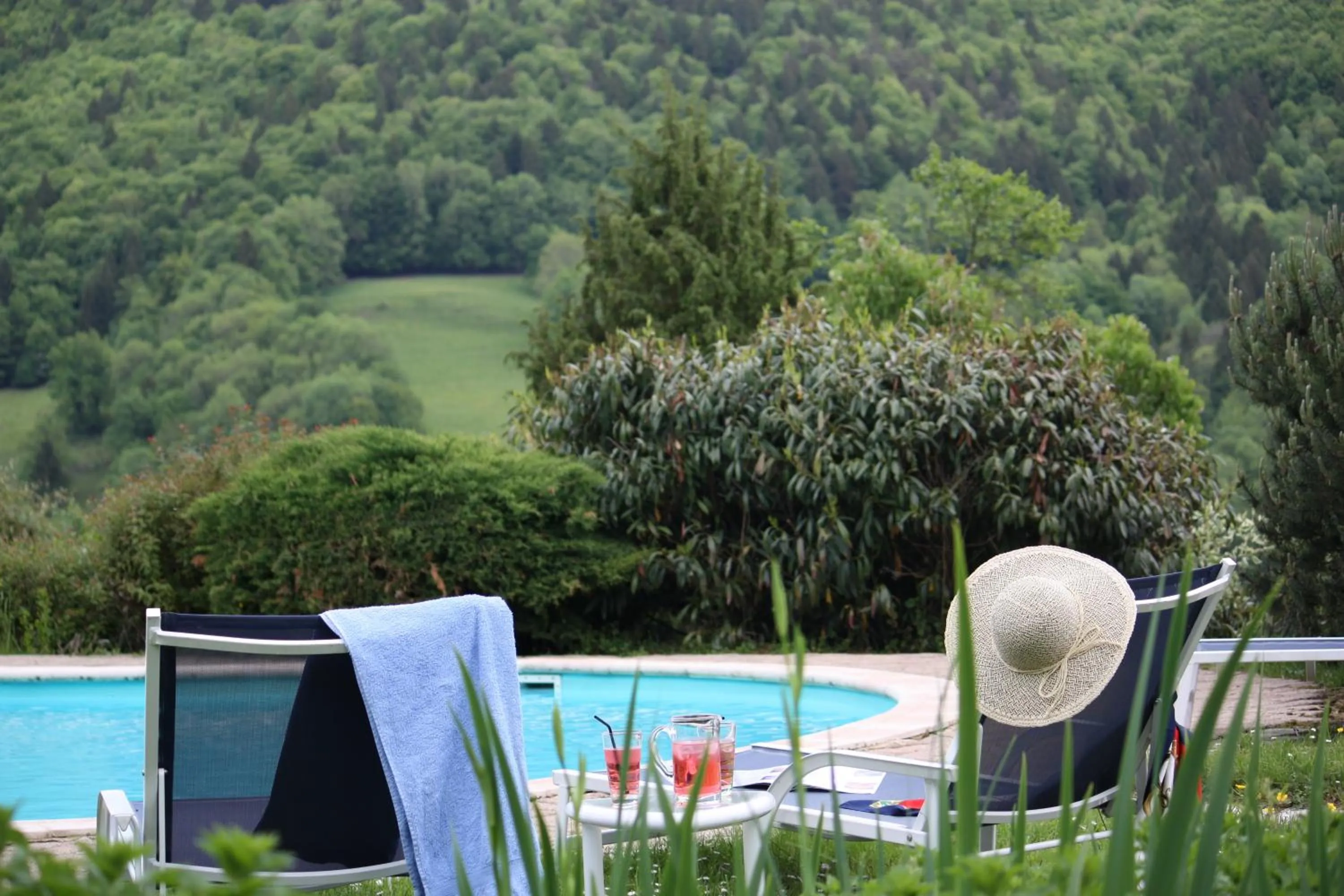 Swimming pool in Hôtel Restaurant Taillard