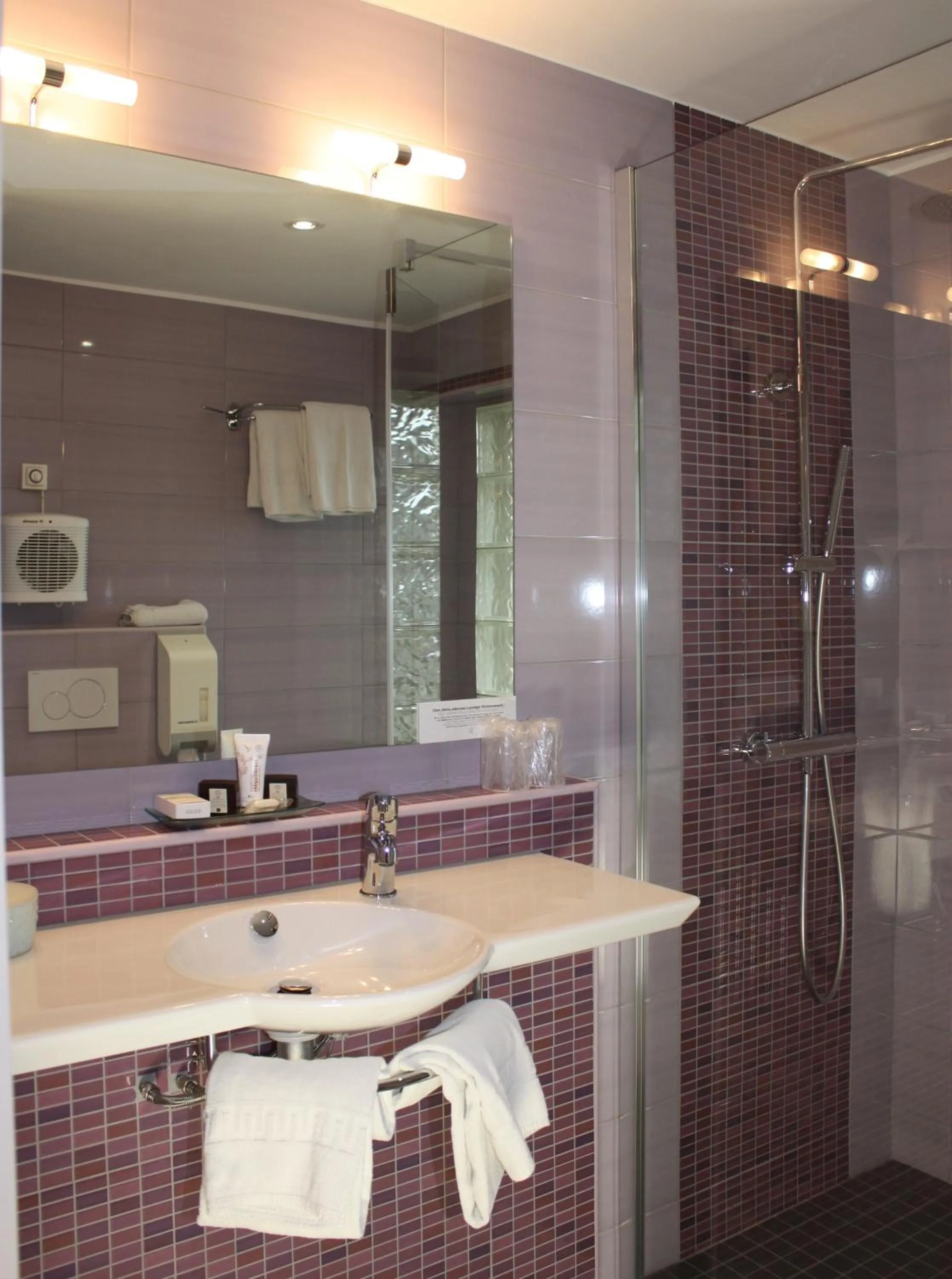 Bathroom in Hôtel Restaurant Taillard