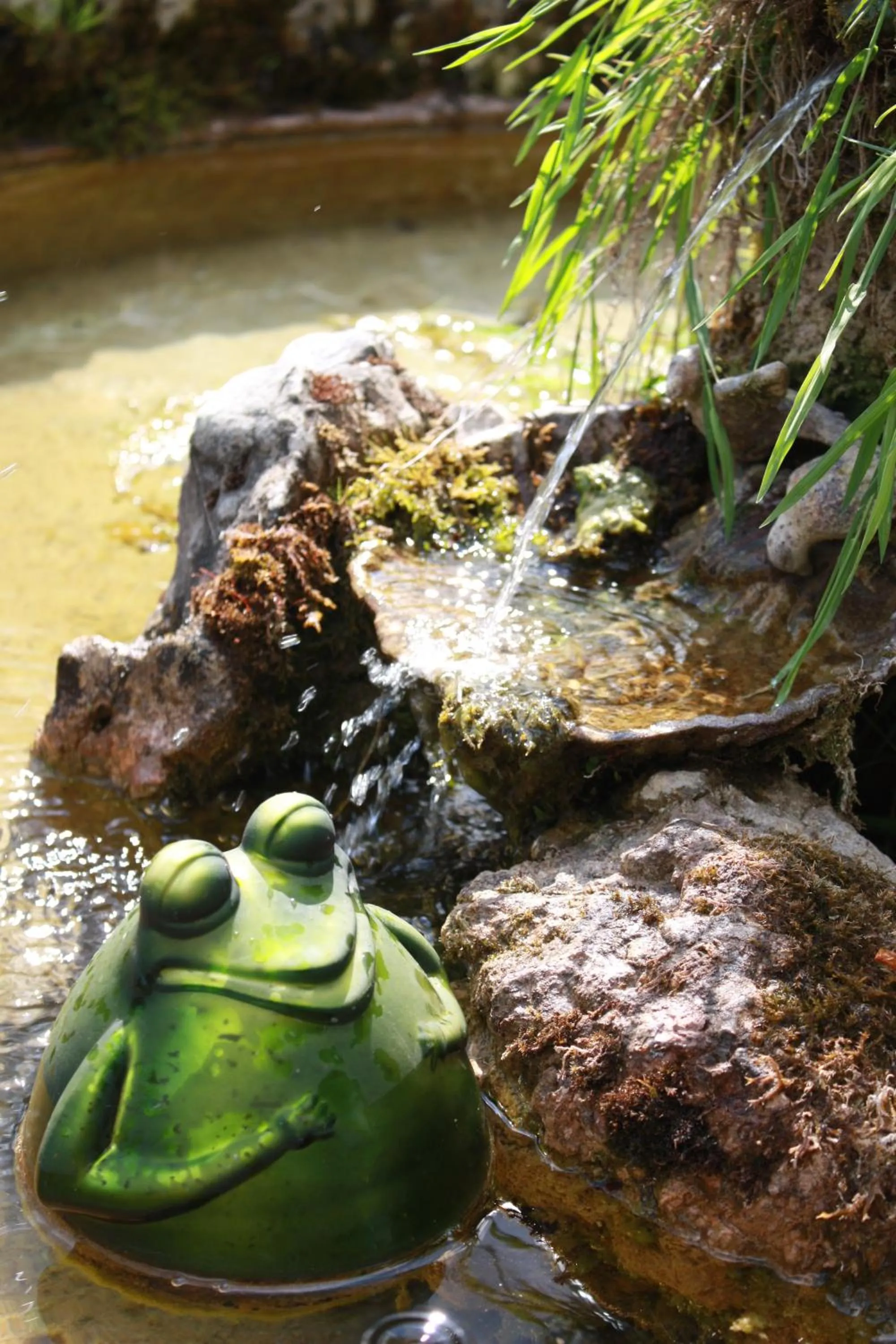 Other in Hôtel Restaurant Taillard