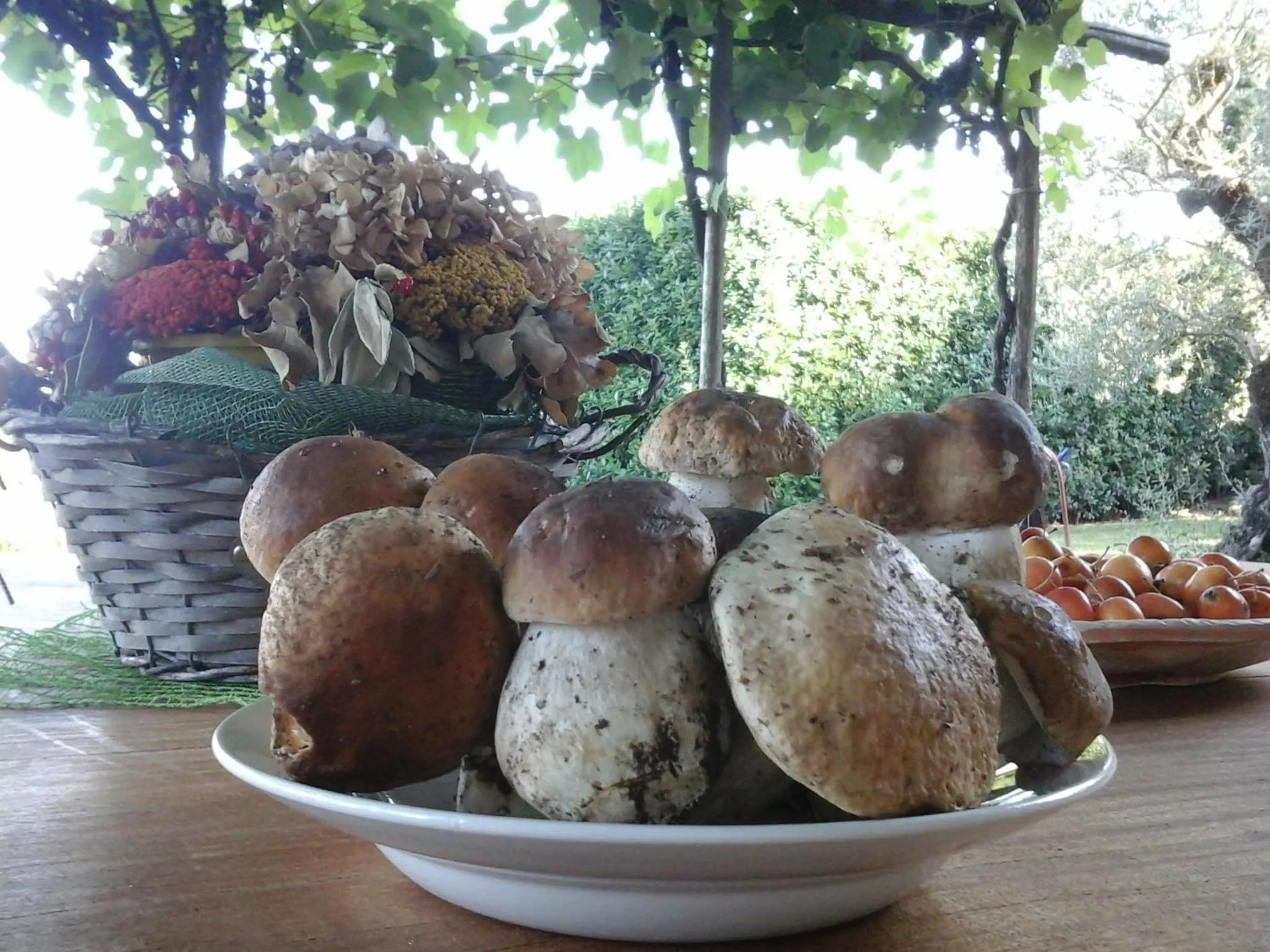 Autumn in Bio&B Cascina Montebello