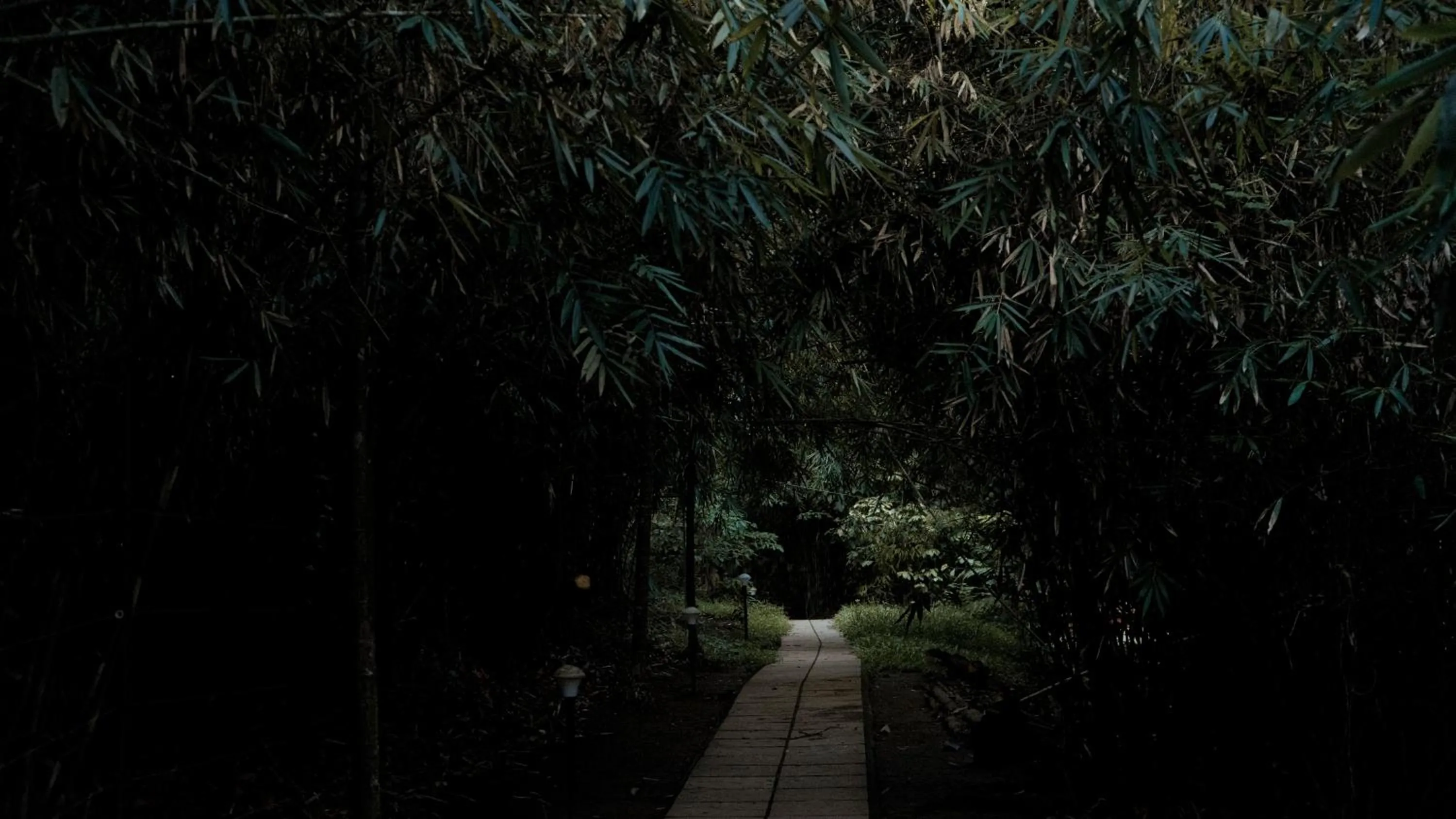 Spring in Vythiri Holiday Resort, Wayanad