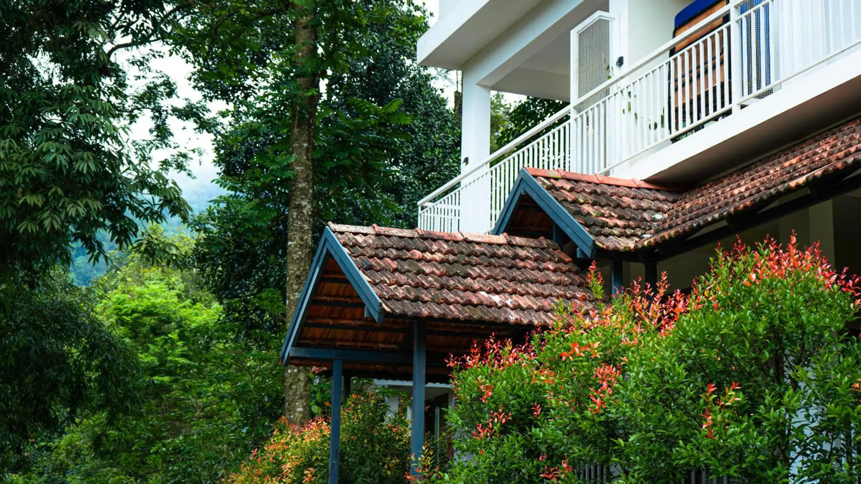 Property building in Vythiri Holiday Resort, Wayanad Property building in Vythiri Holiday Resort, Wayanad
