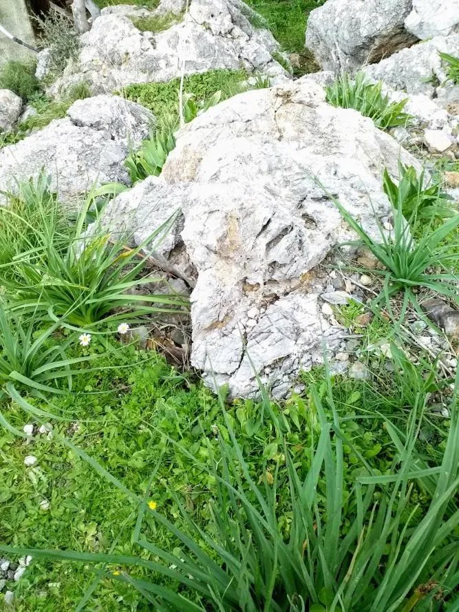 Garden view in Akropolis Studios