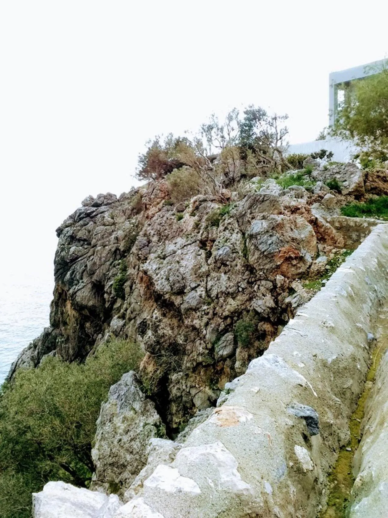 Garden in Akropolis Studios