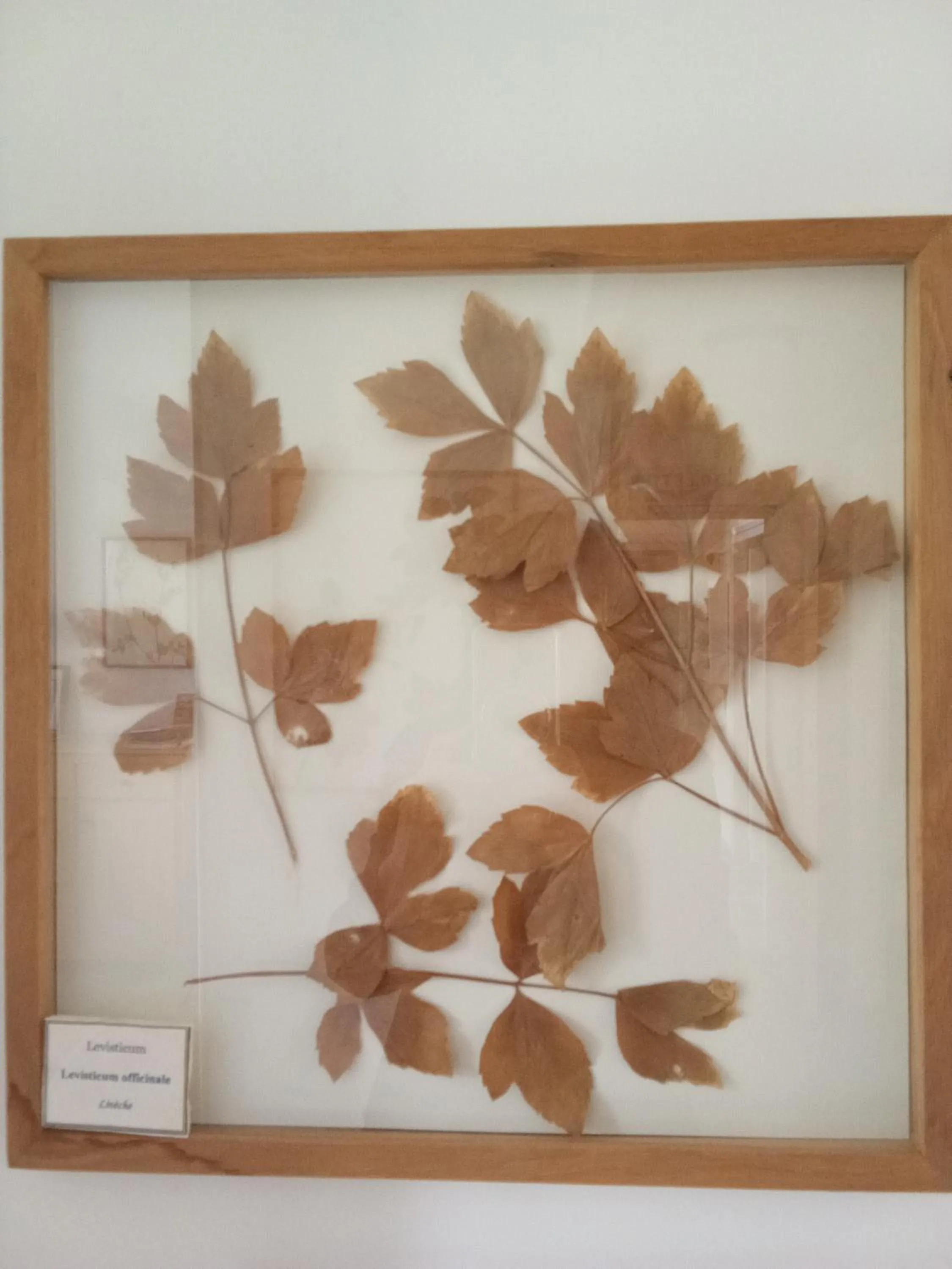 Property building in Hôtel Restaurant Les Touristes