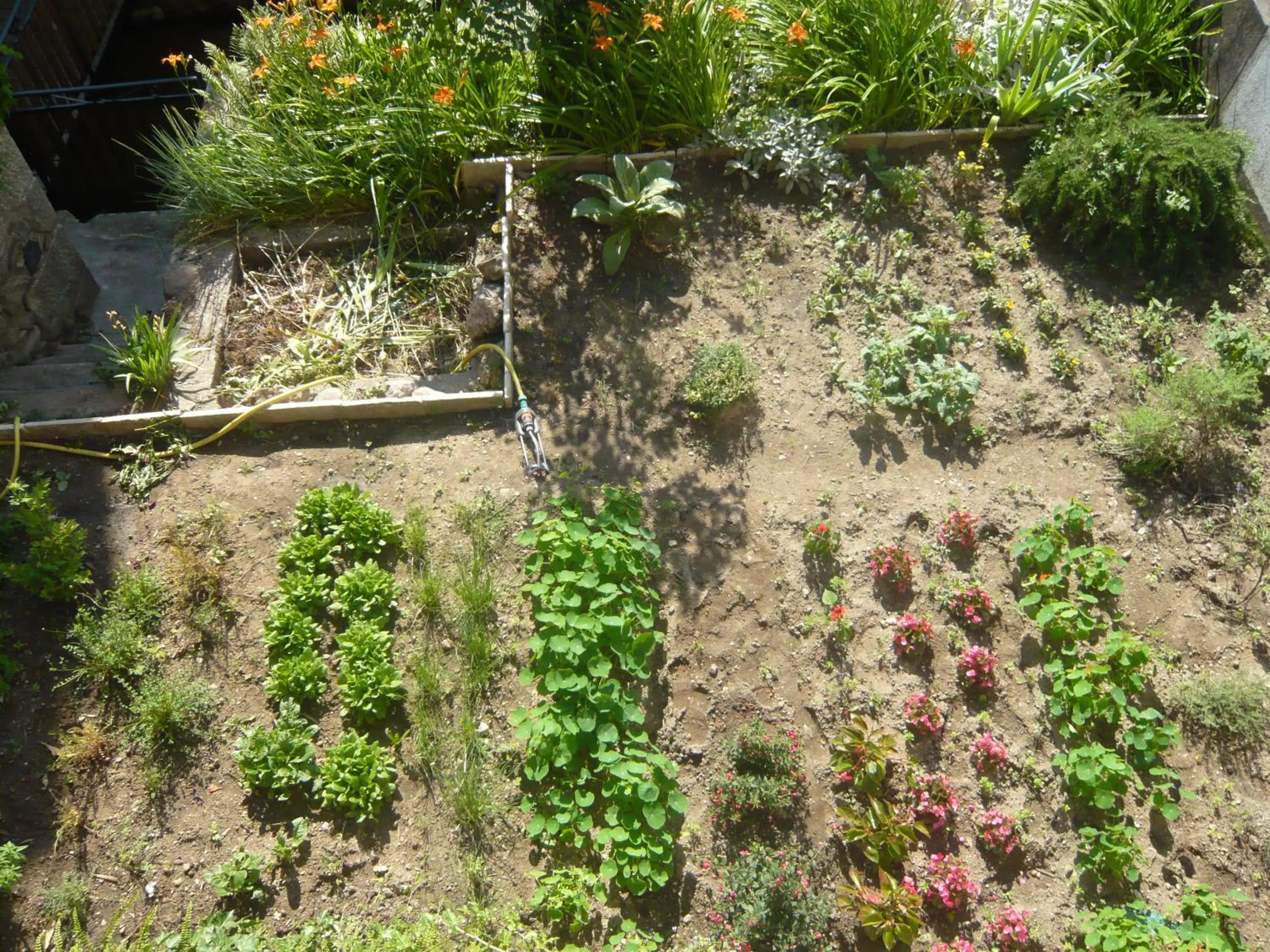 Garden in Hôtel Restaurant Les Touristes