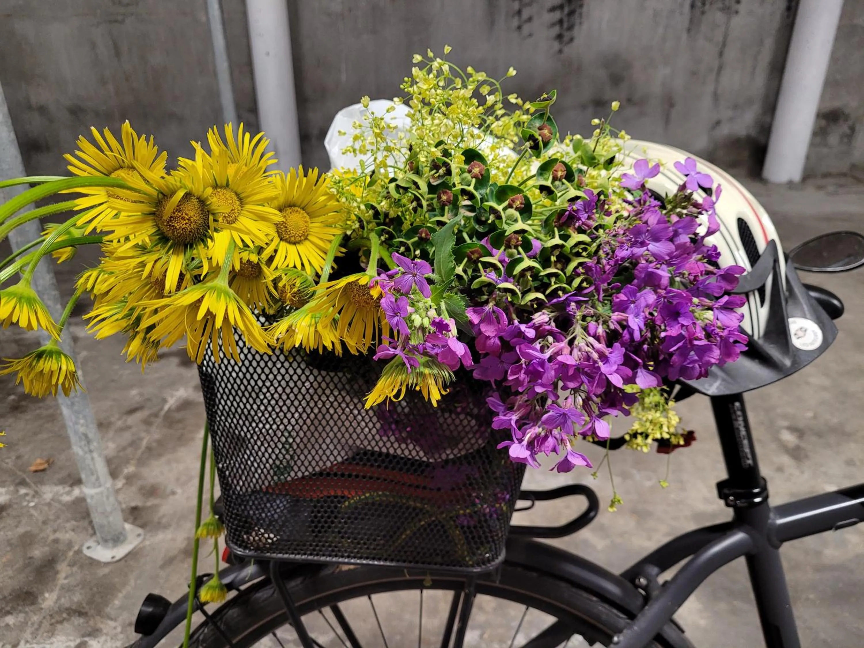 Day in Hôtel Restaurant Les Touristes