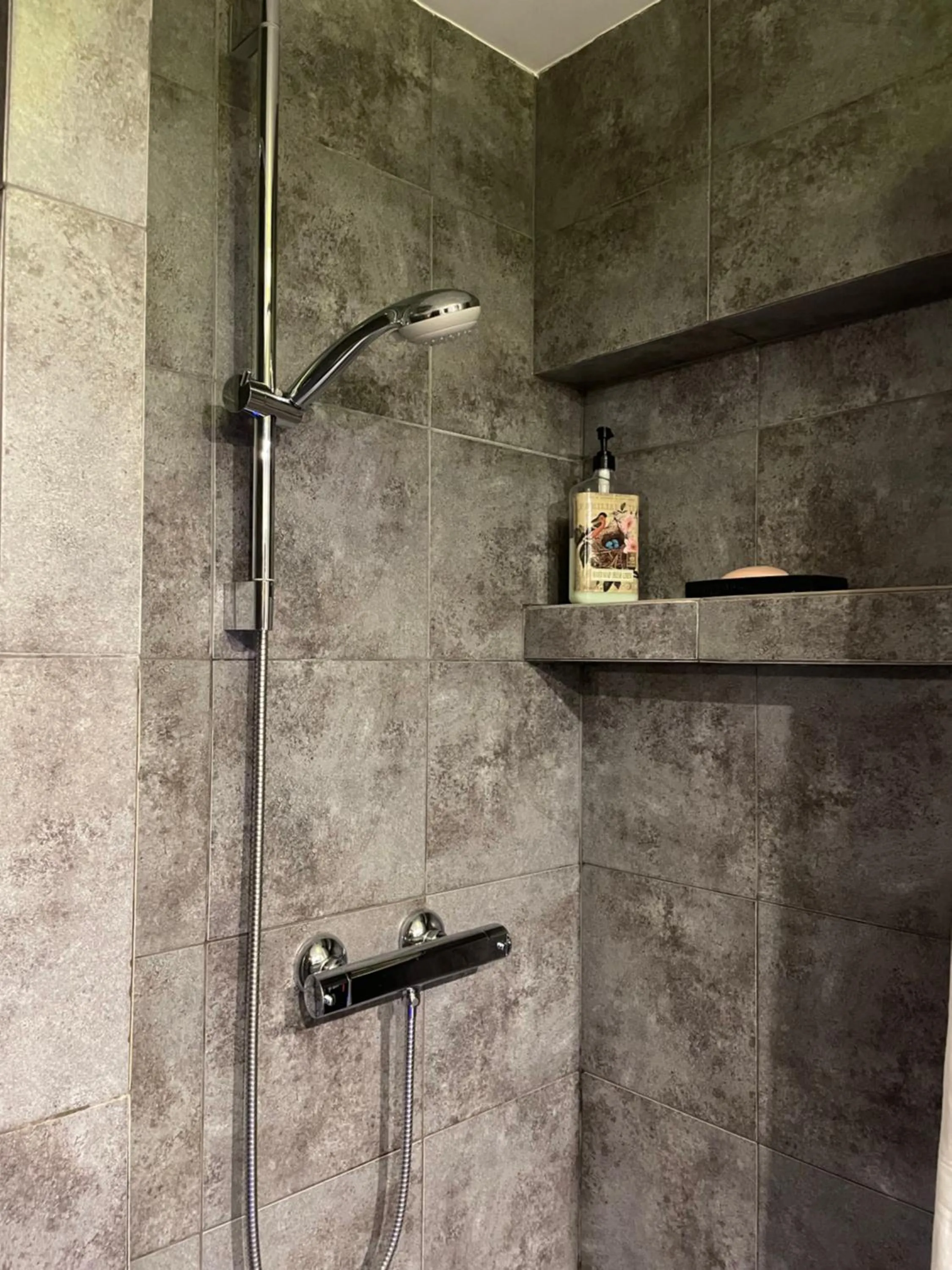 Shower in Apartamenty pod Wiciokrzewem