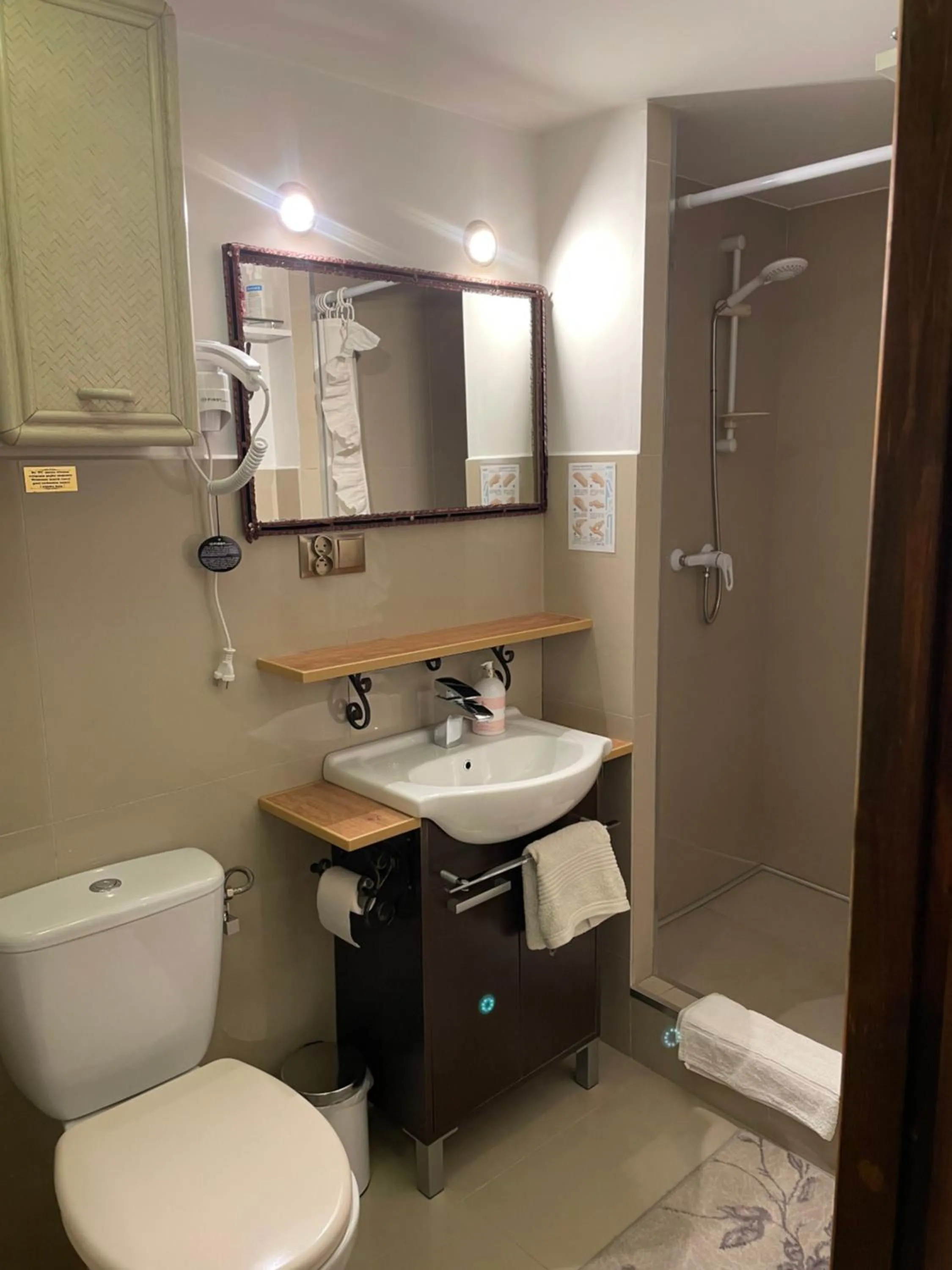Shower in Apartamenty pod Wiciokrzewem