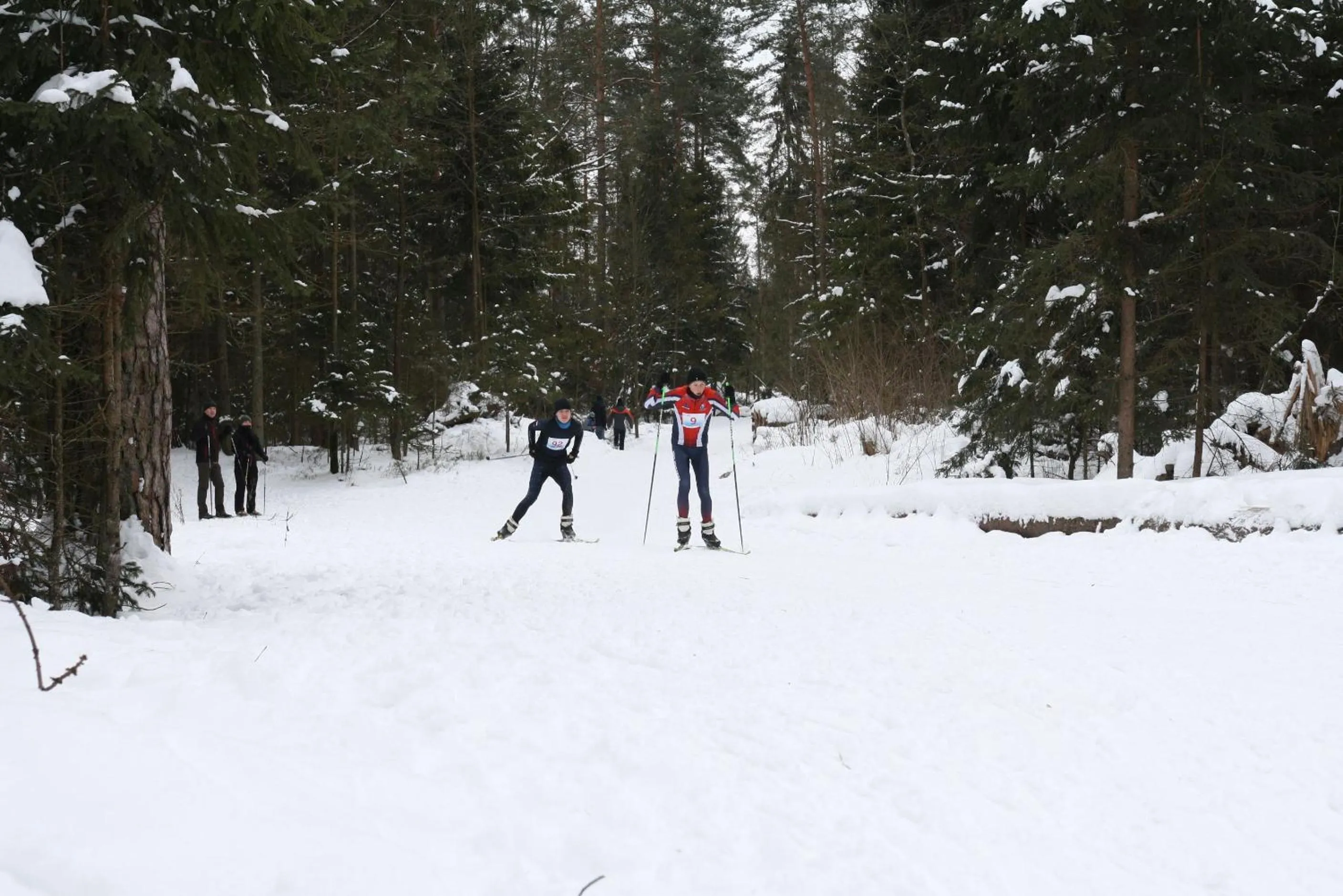 Skiing in Apartamenty pod Wiciokrzewem