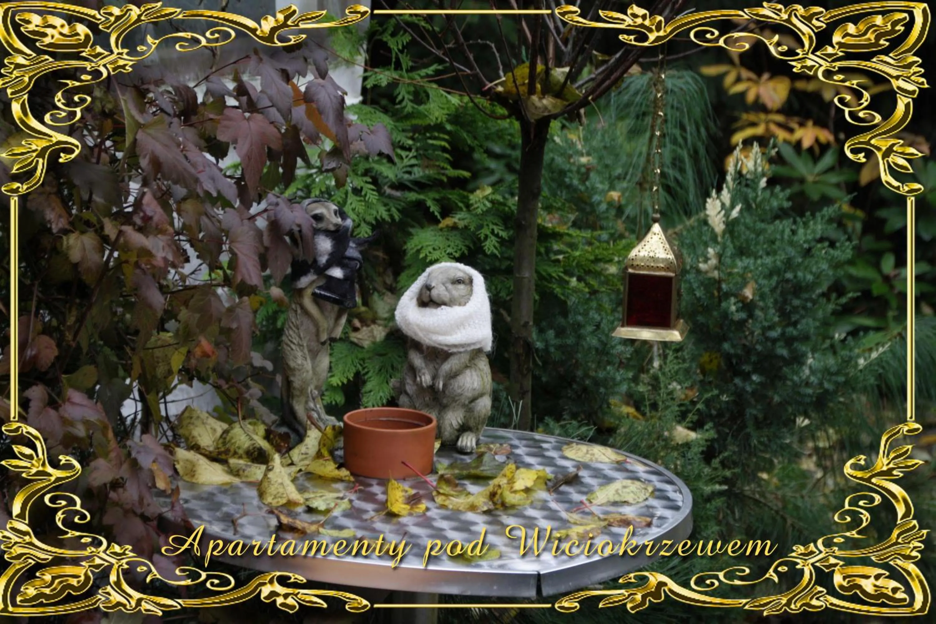 Garden in Apartamenty pod Wiciokrzewem