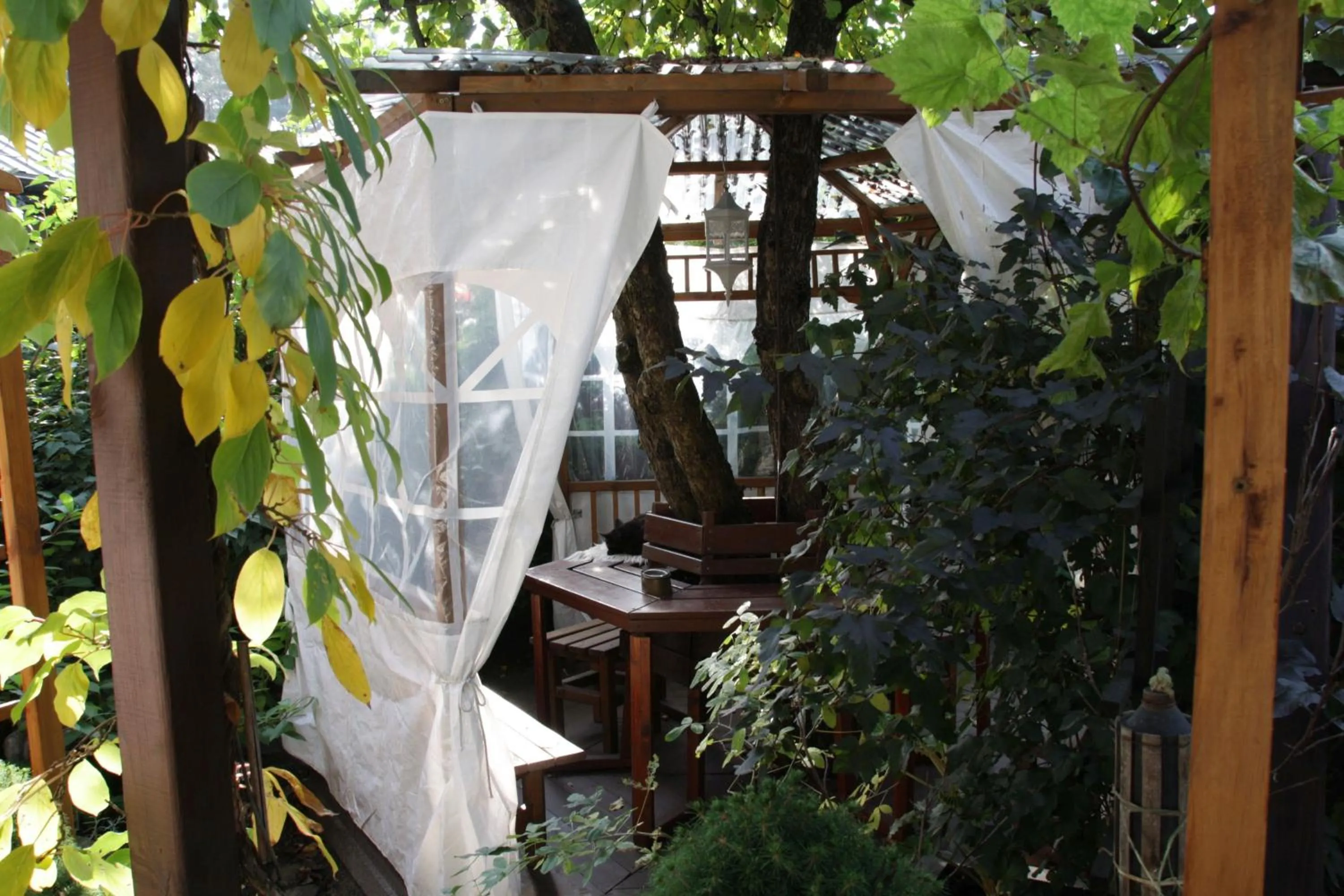 Garden in Apartamenty pod Wiciokrzewem