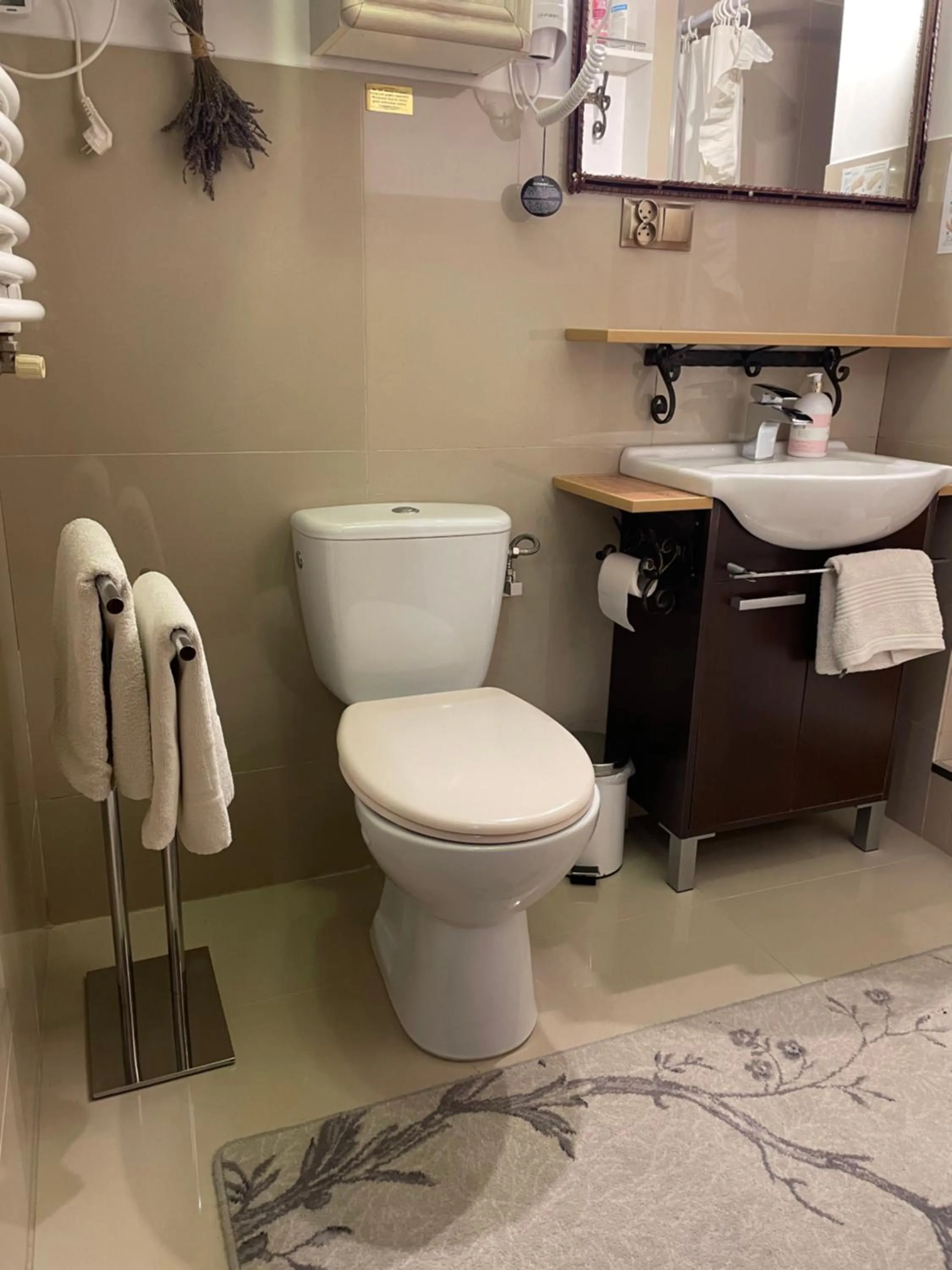 Toilet in Apartamenty pod Wiciokrzewem
