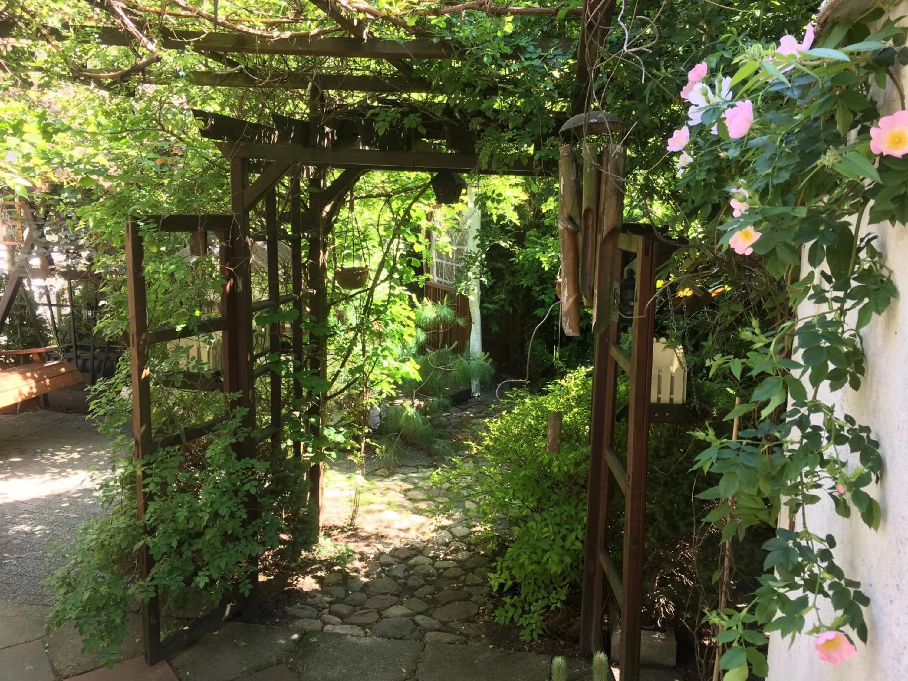 Garden in Apartamenty pod Wiciokrzewem
