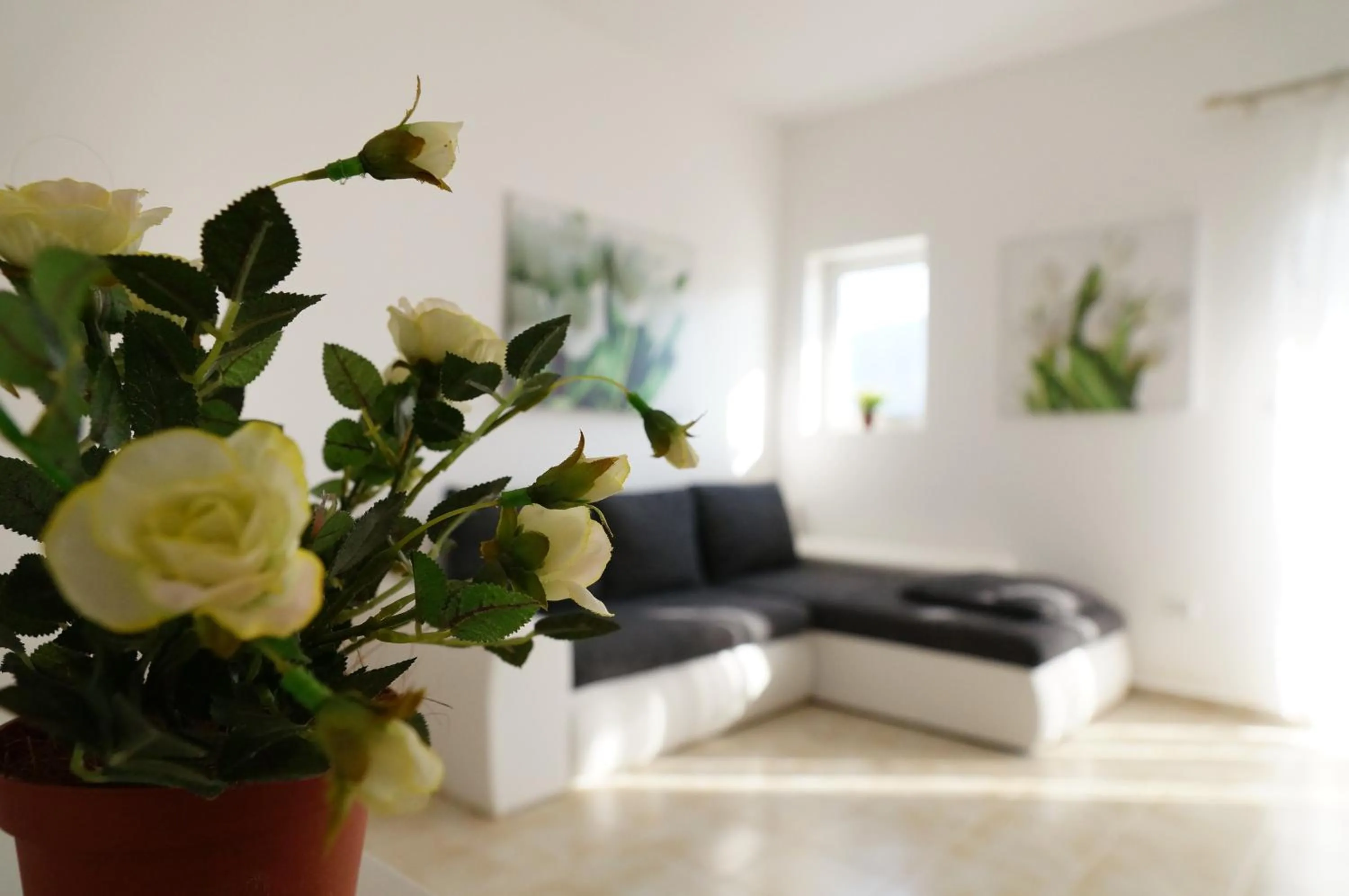 Apartment Begonia of Kumbor