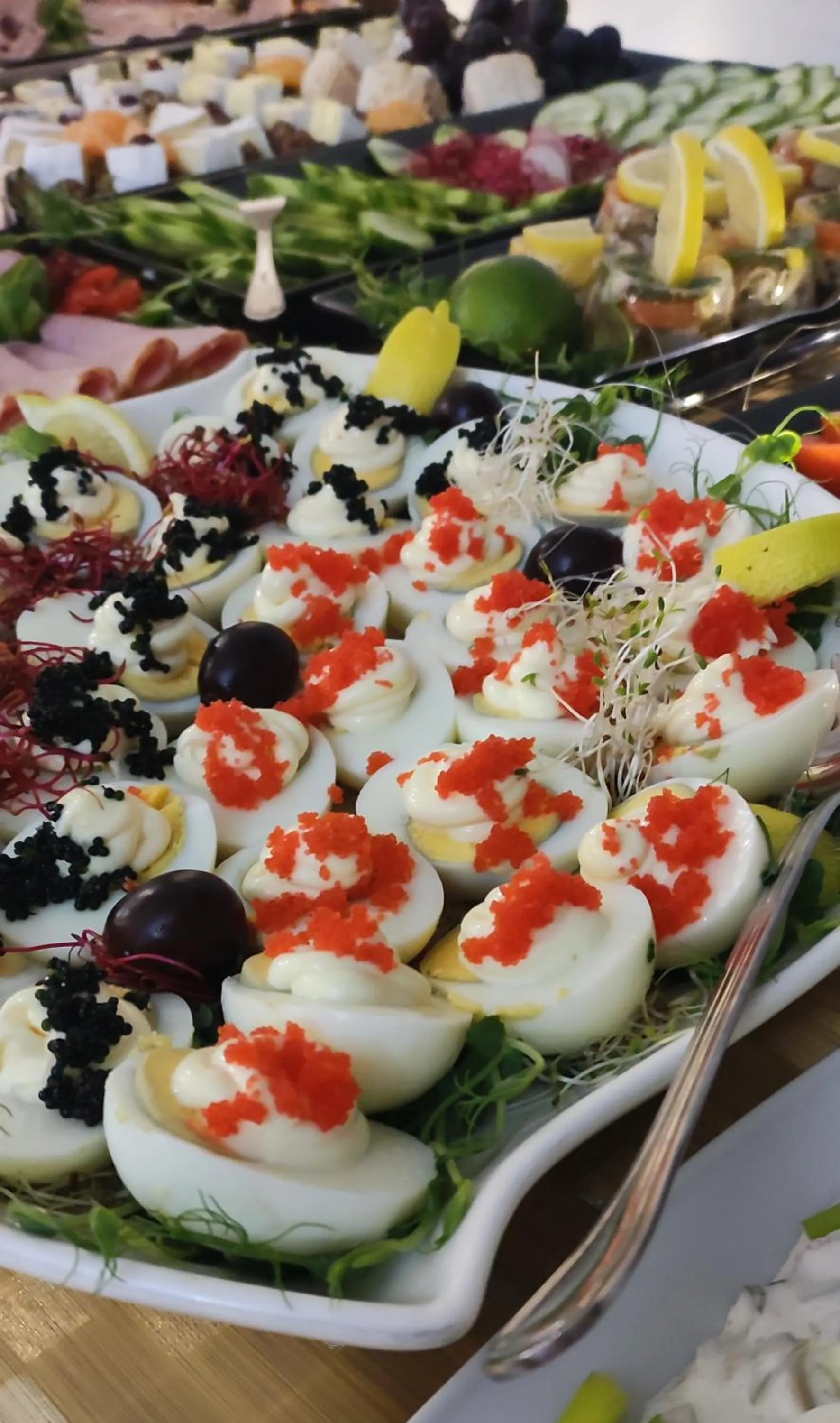 Food and drinks in Paradiso Park