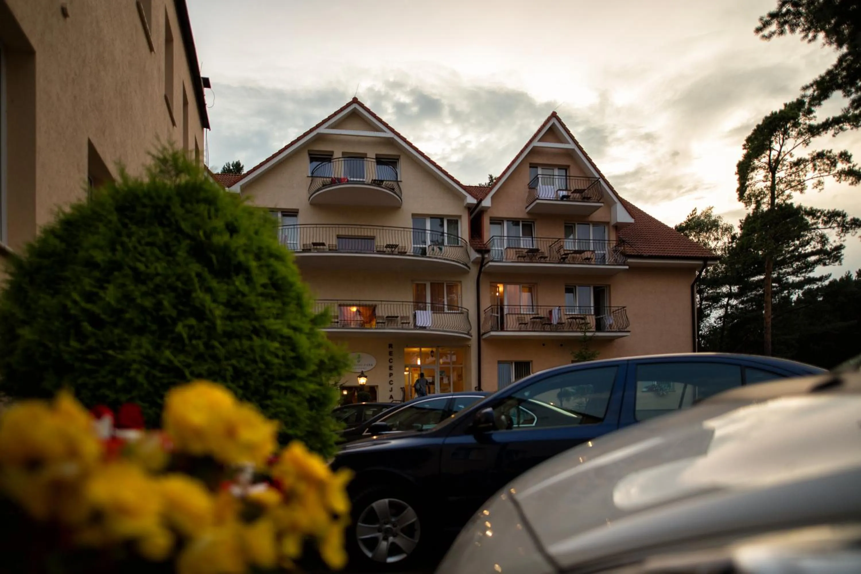 Property building in Paradiso Park