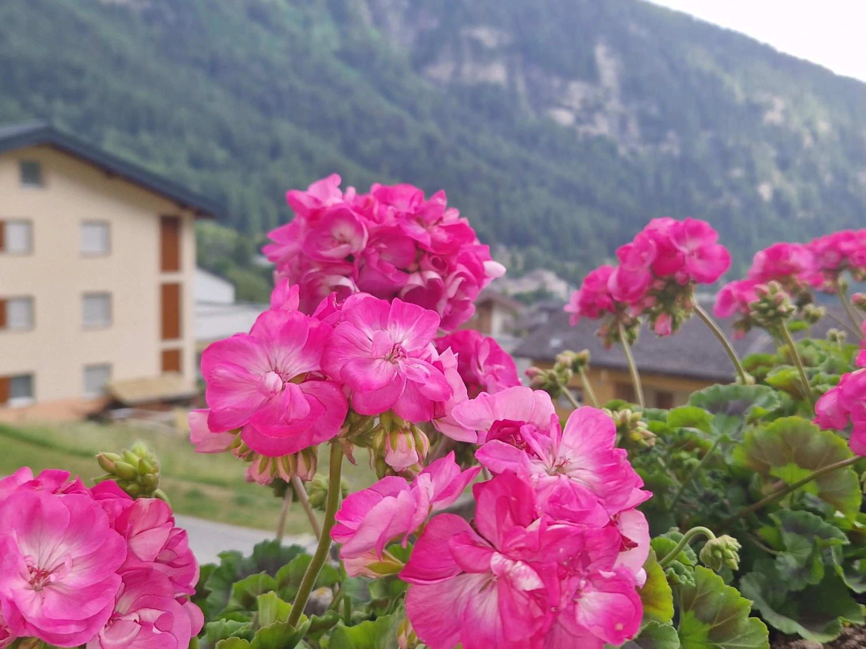 Sunnuhubil Leukerbad