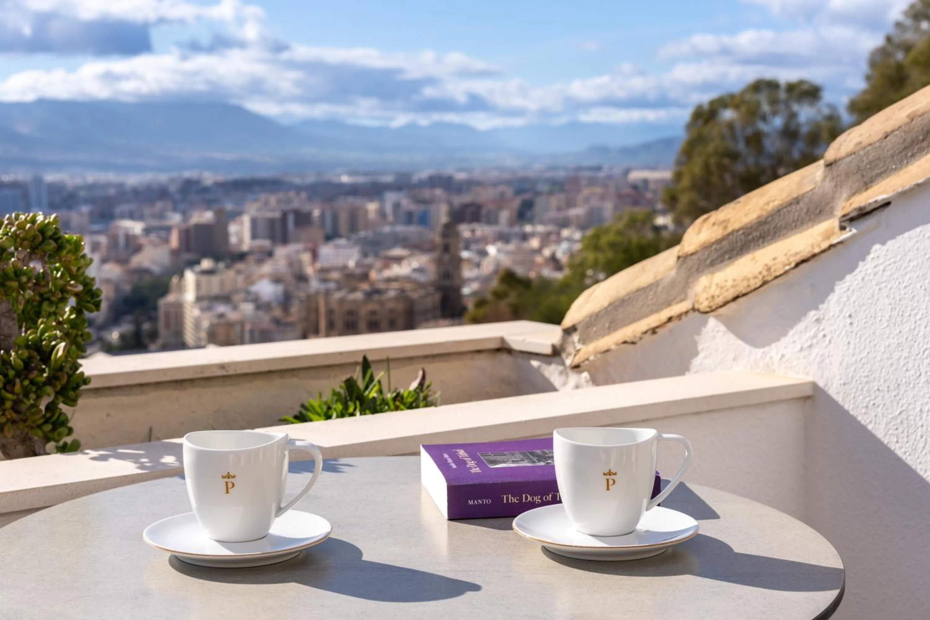 View (from property/room) in Parador de Málaga Gibralfaro