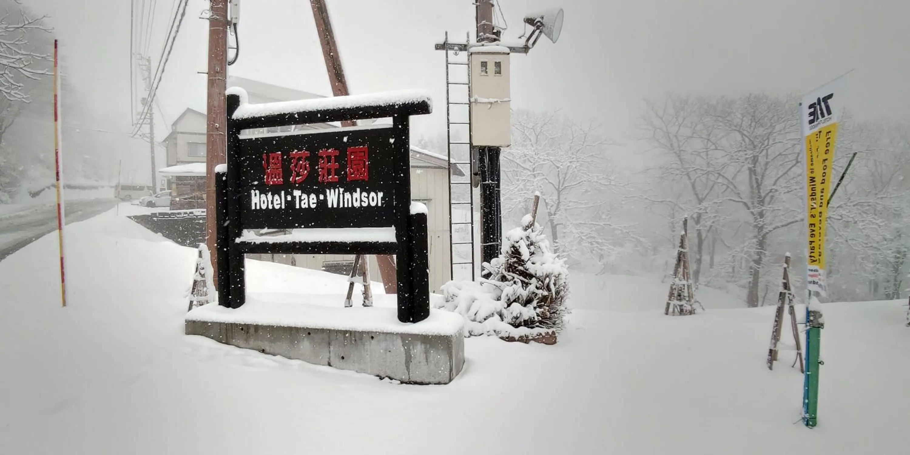 Hotel Tae Windsor