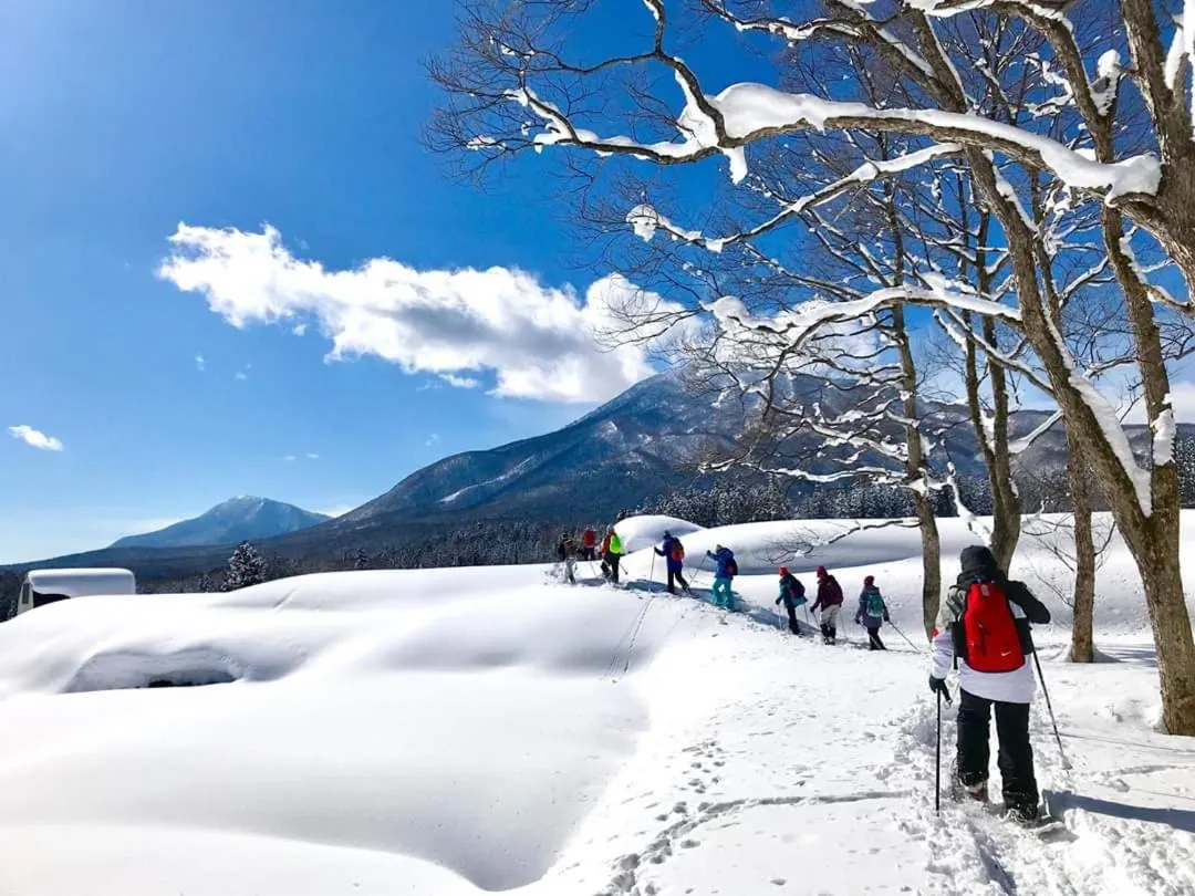 Winter in Hotel Tae Windsor