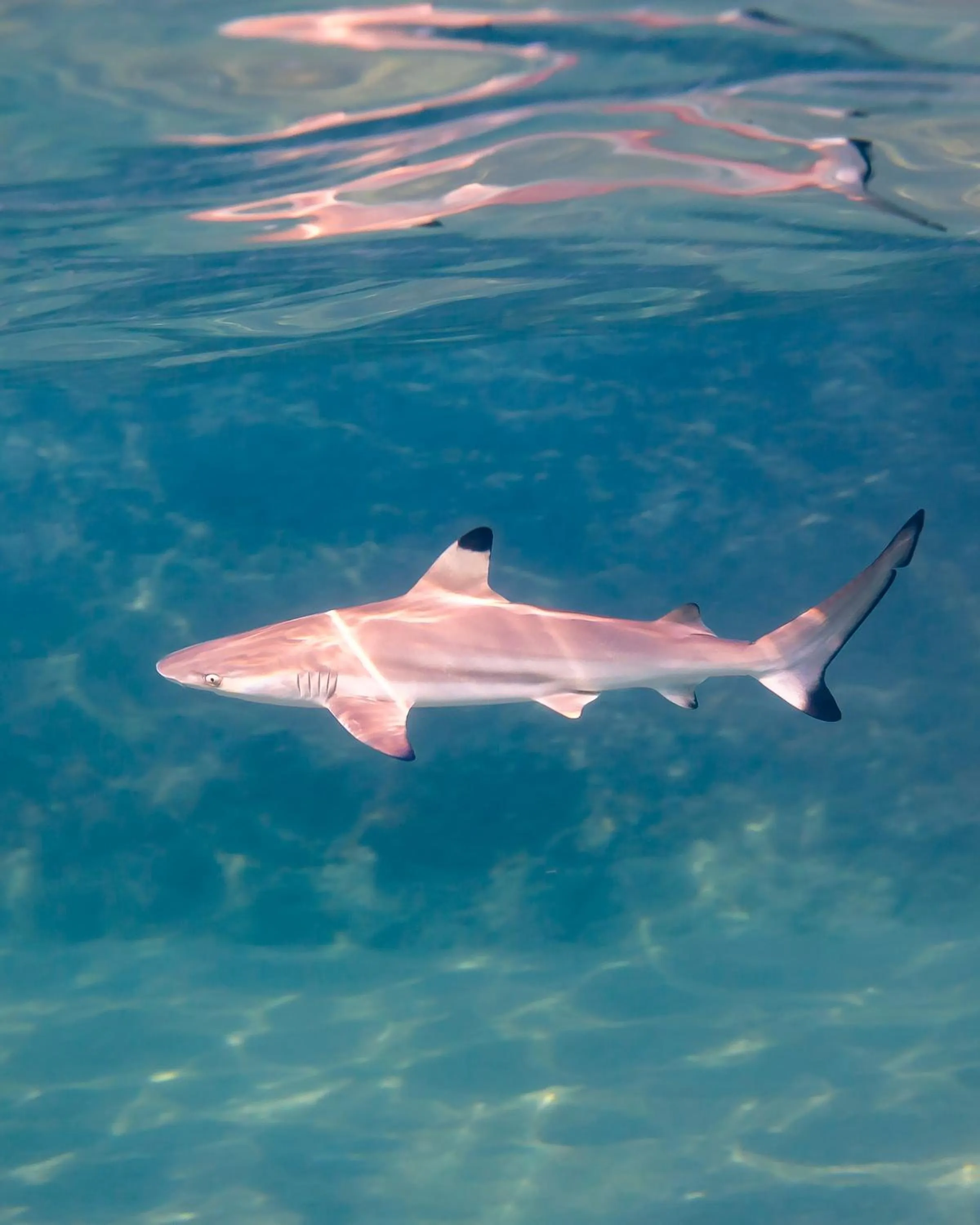 Snorkeling in Baan Talay Resort & Yoga