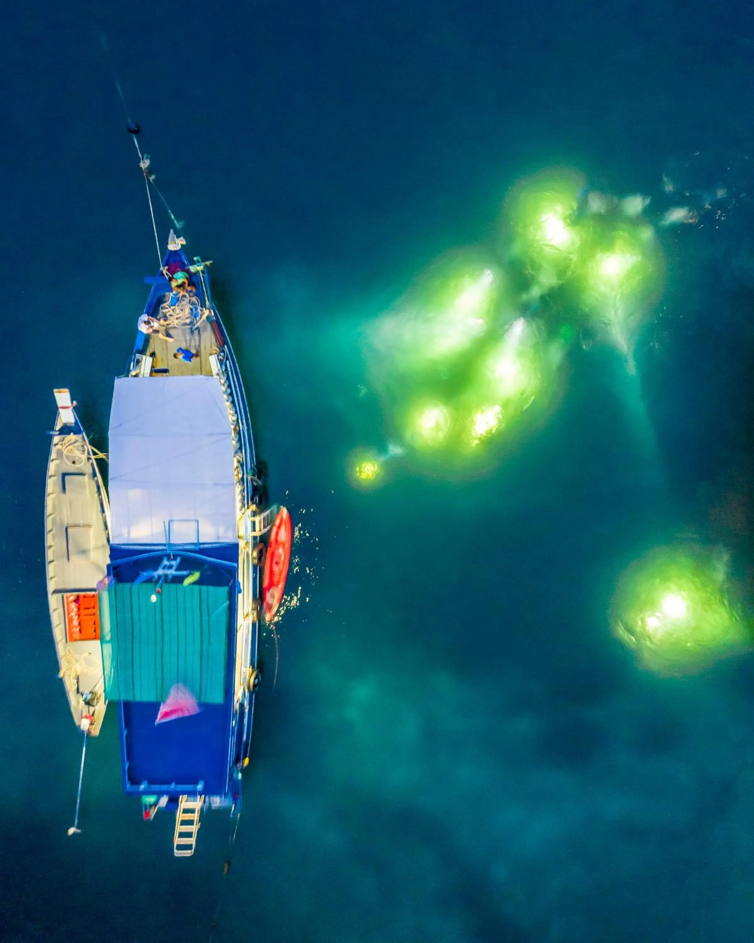 Diving in New Heaven Dive School and Resort