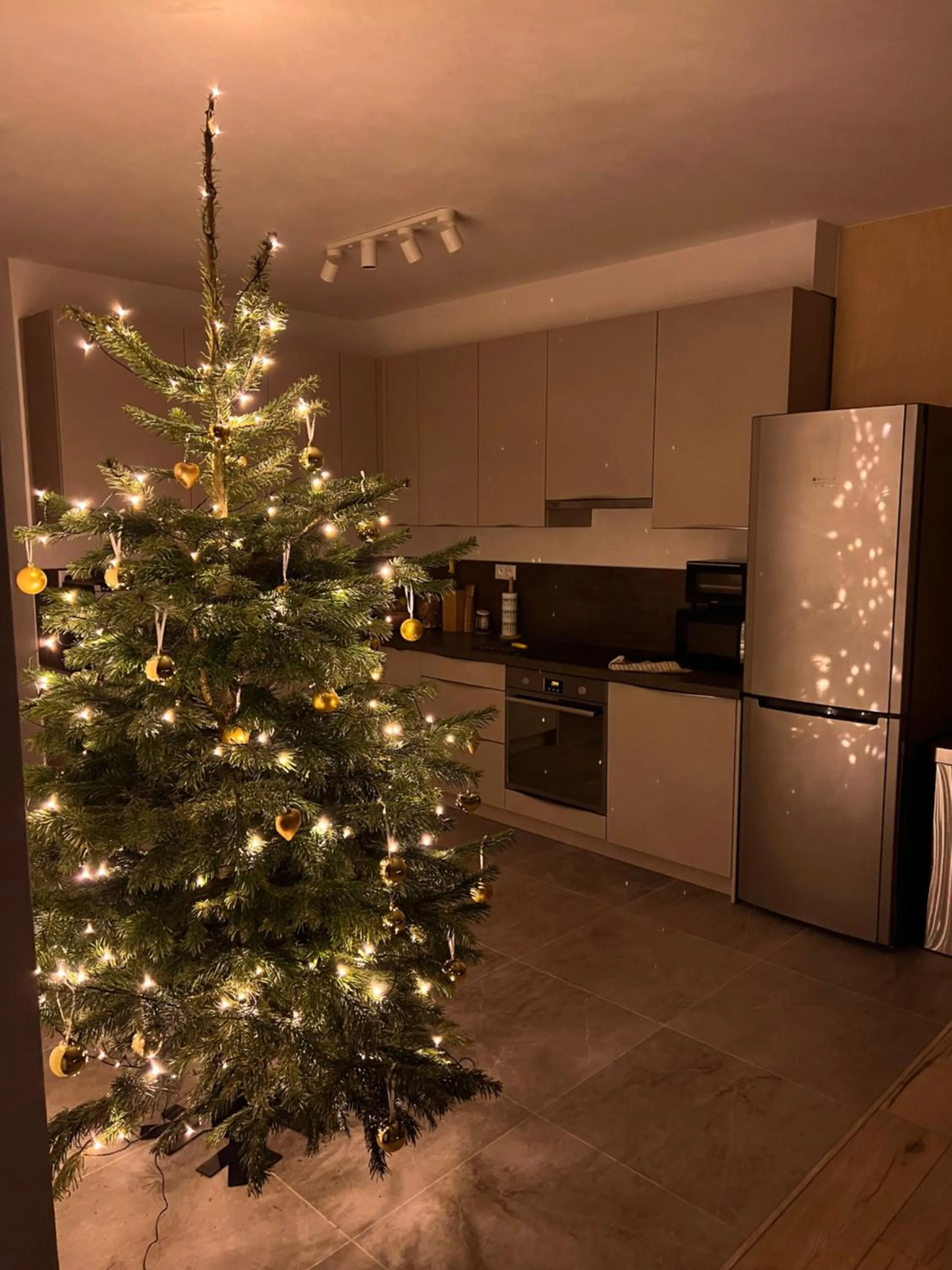 Luxury Apartments Panorama