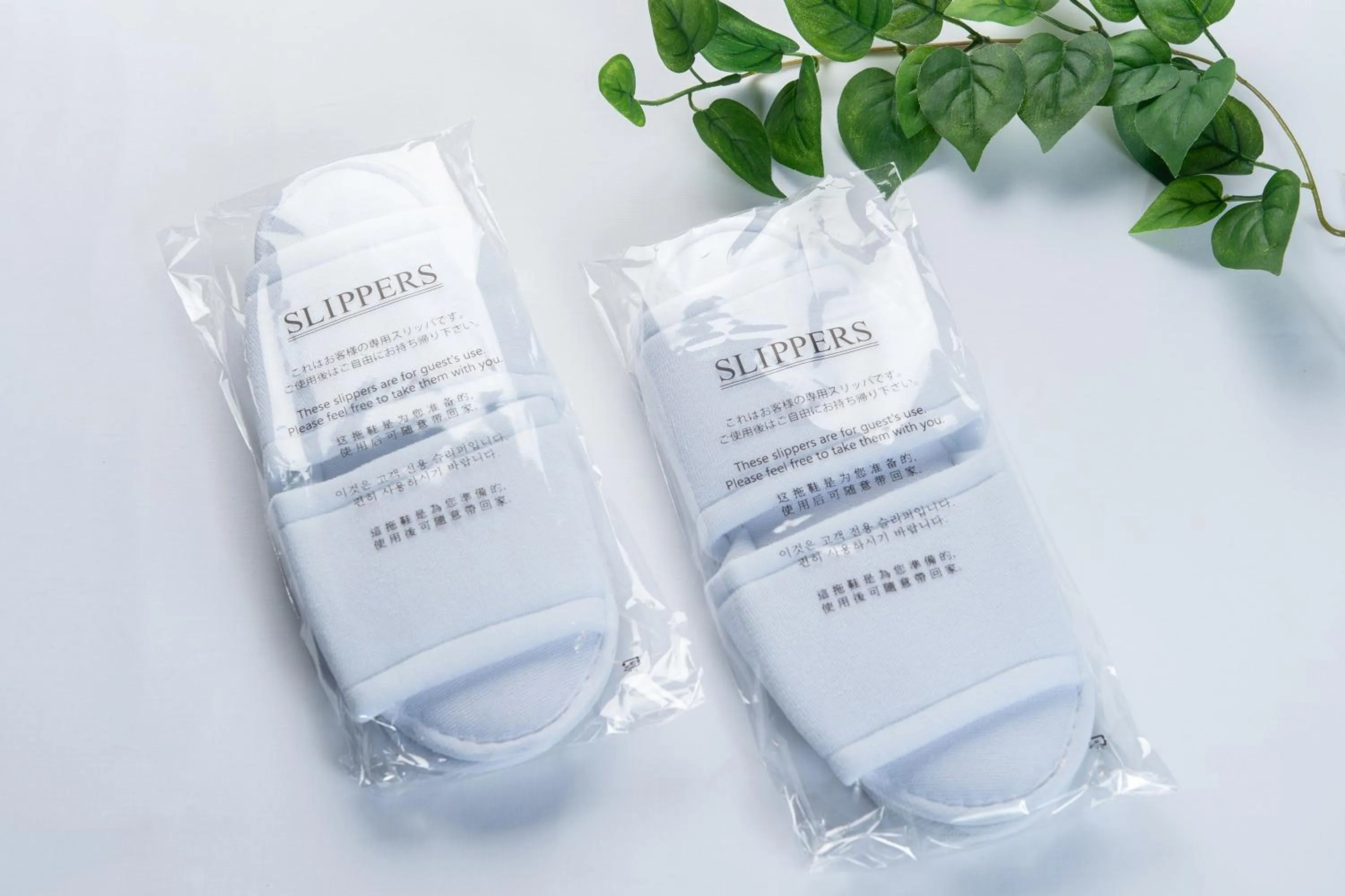 Photo of the whole room in Hotel Arashiyama