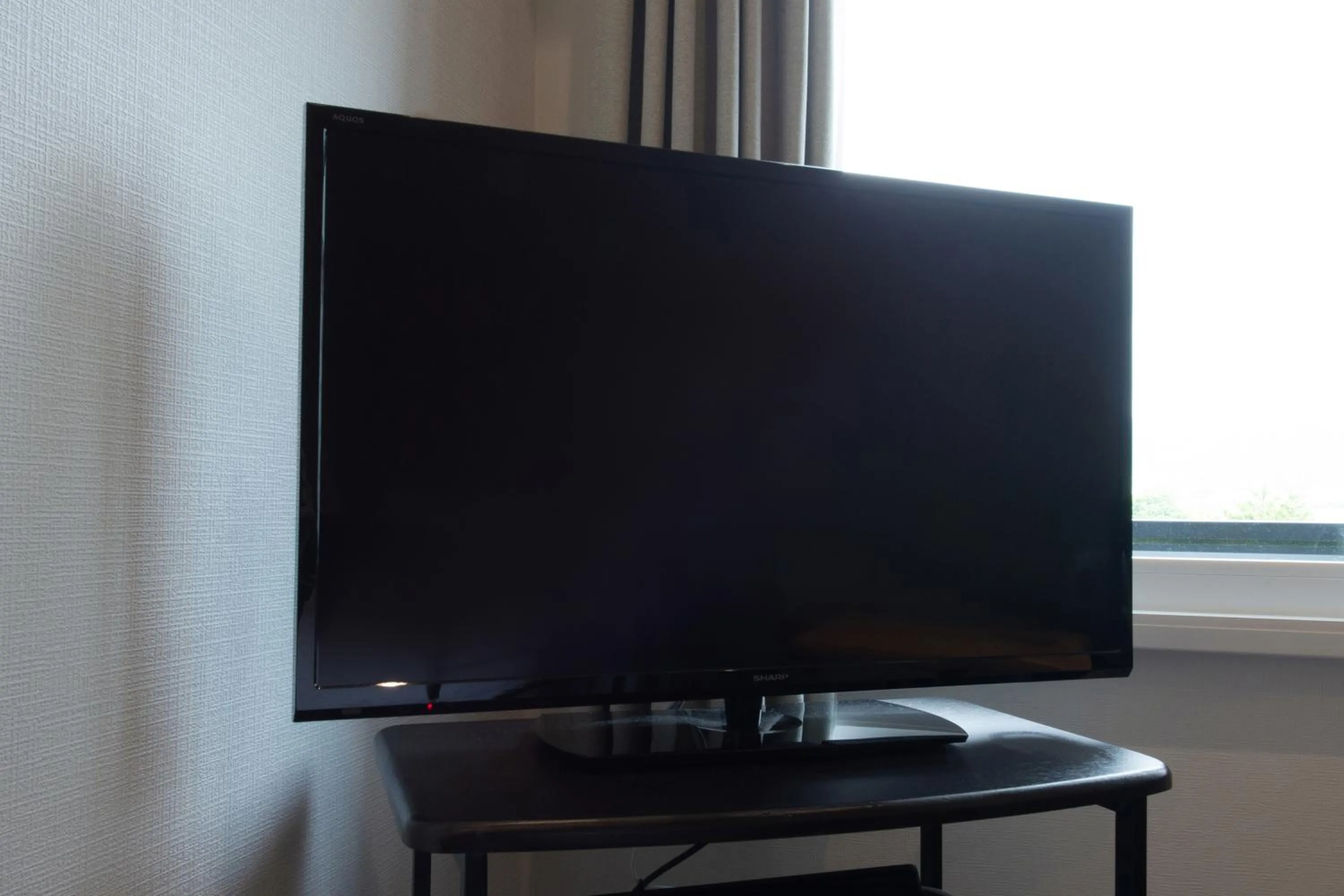 TV and multimedia in Hotel Arashiyama