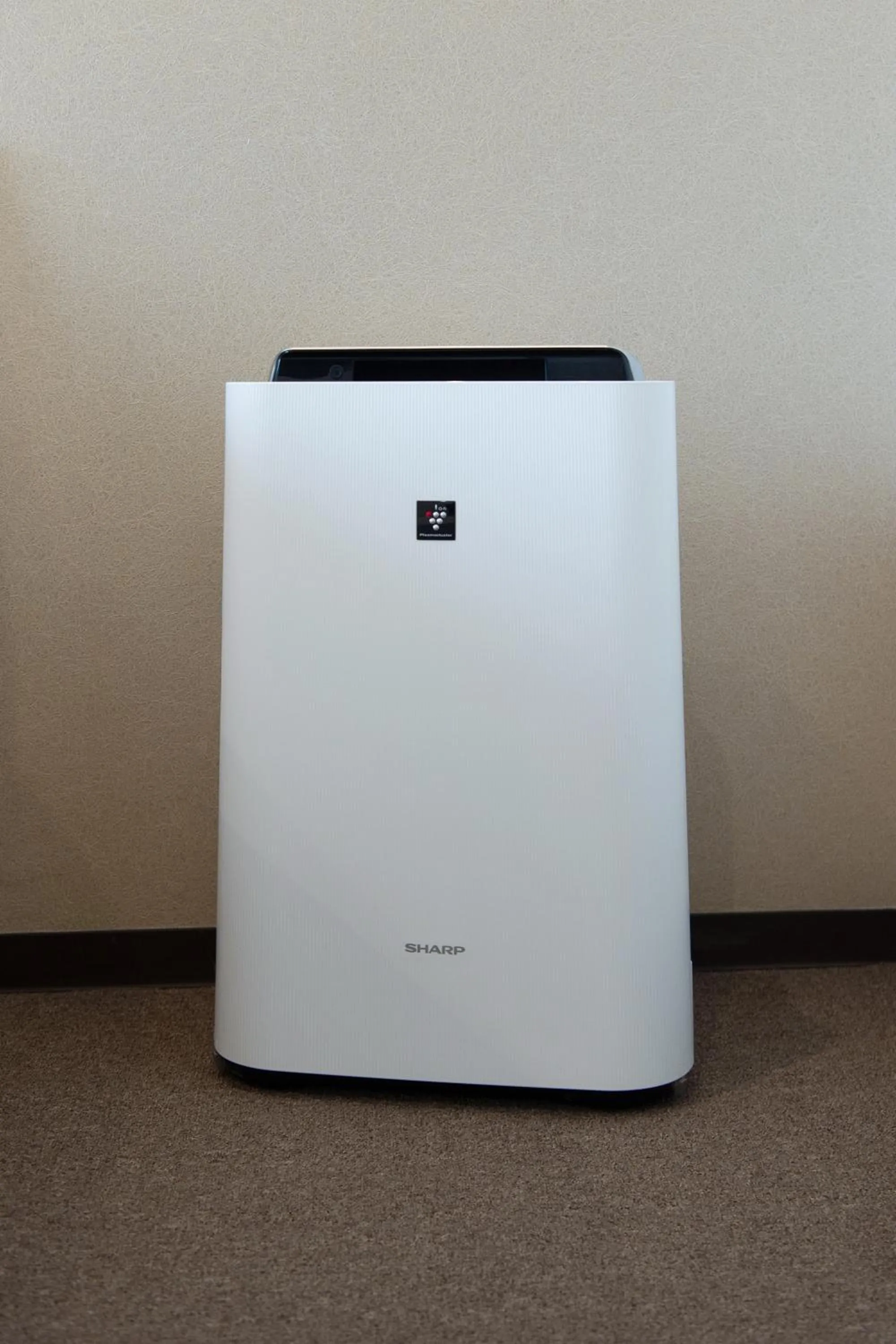 Photo of the whole room in Hotel Arashiyama