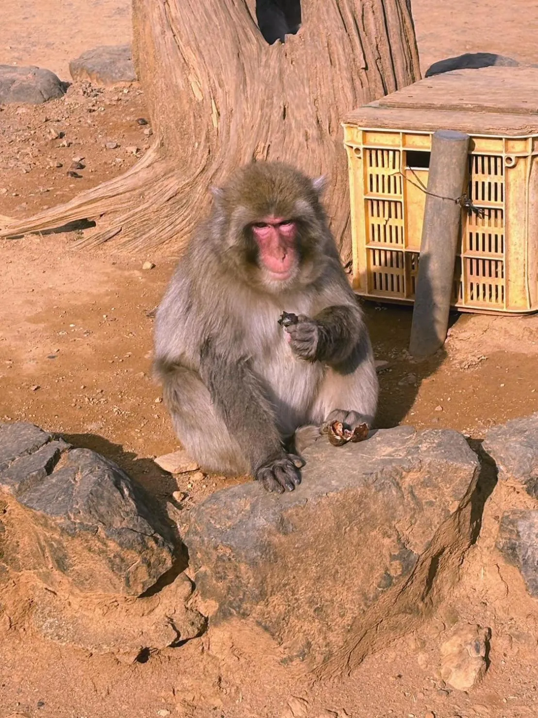 Nearby landmark in Hotel Arashiyama