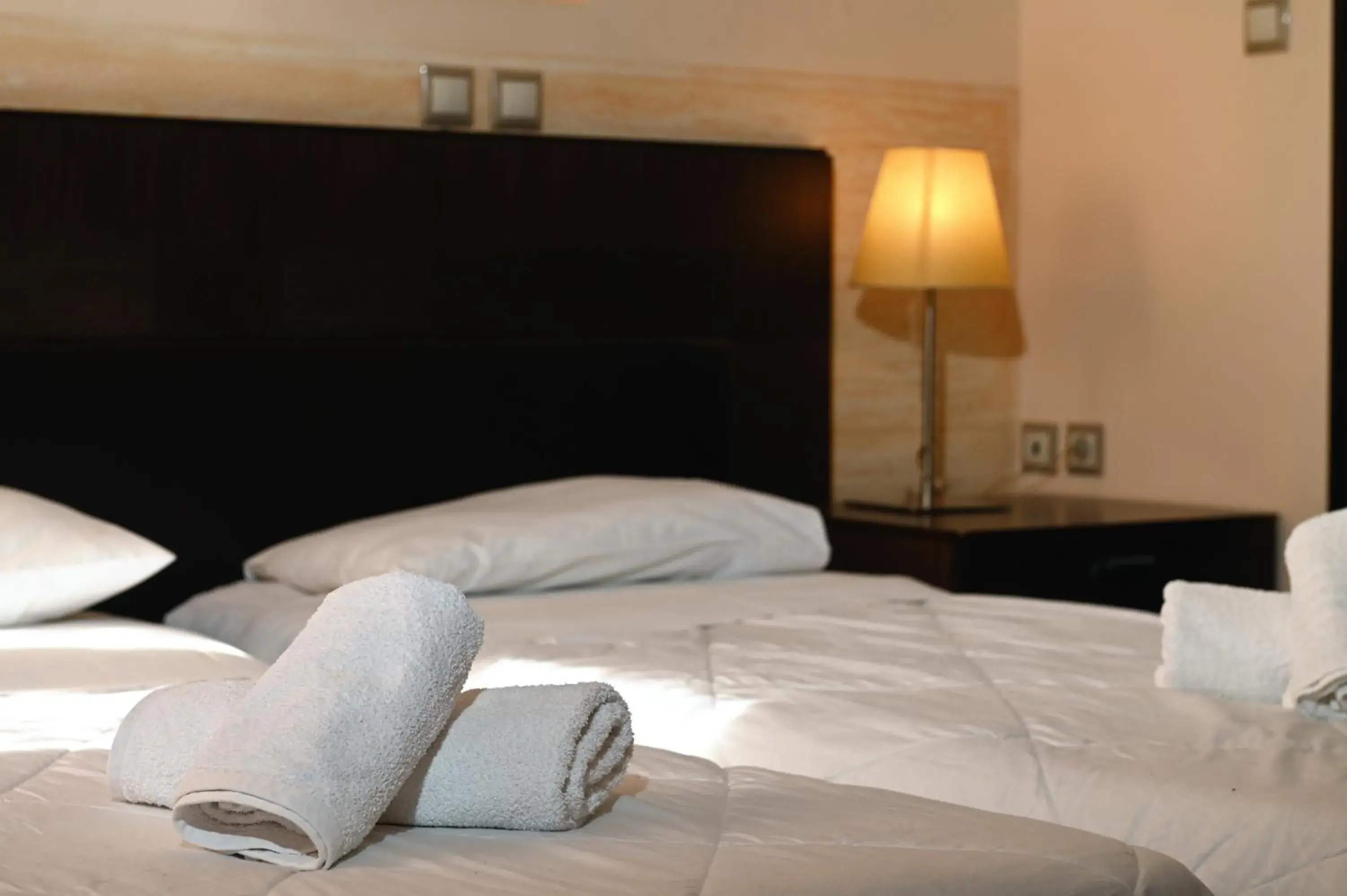 Economy Twin Room in Aktis Hotel Economy Twin Room in Aktis Hotel