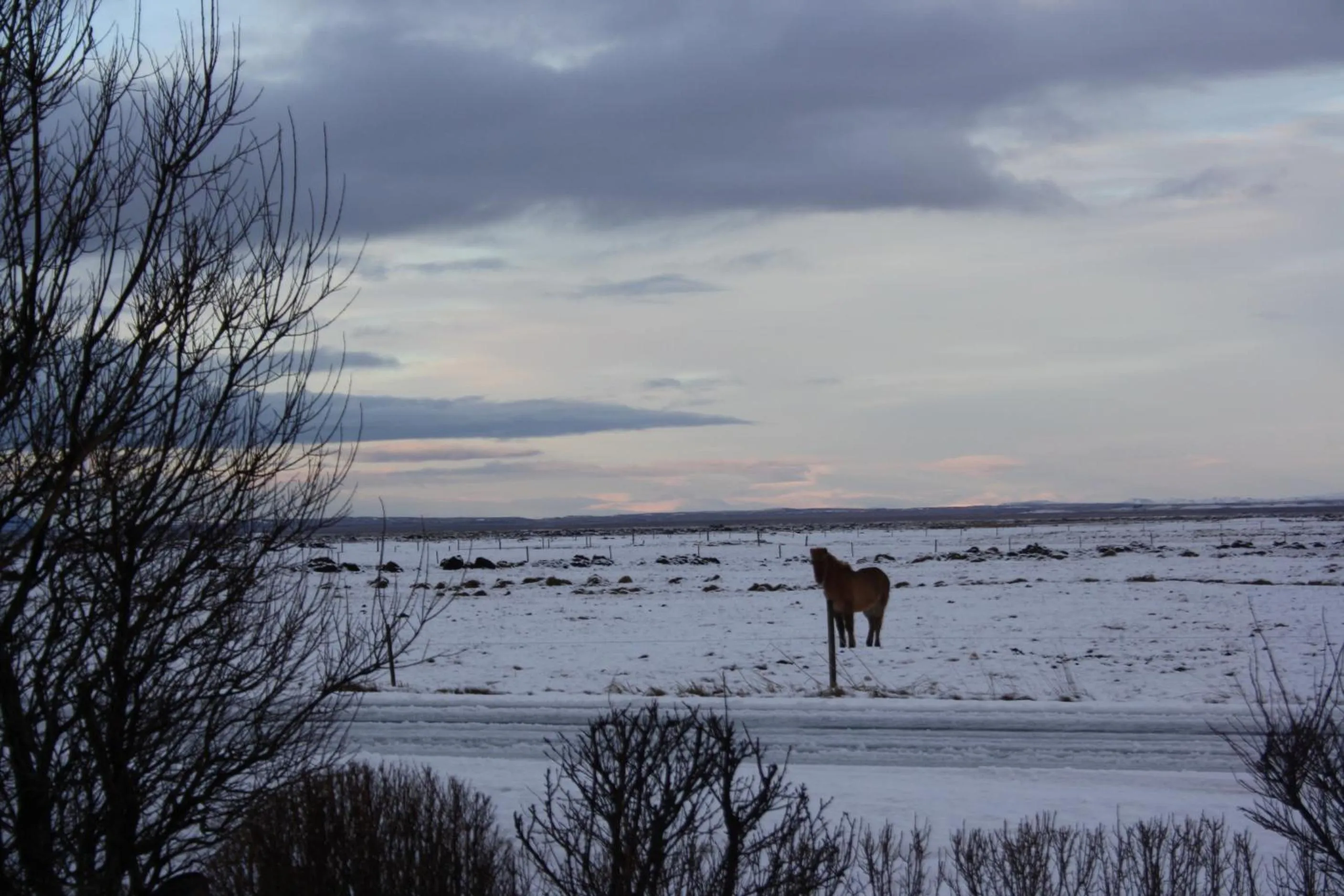 Natural landscape in Hotel Vos