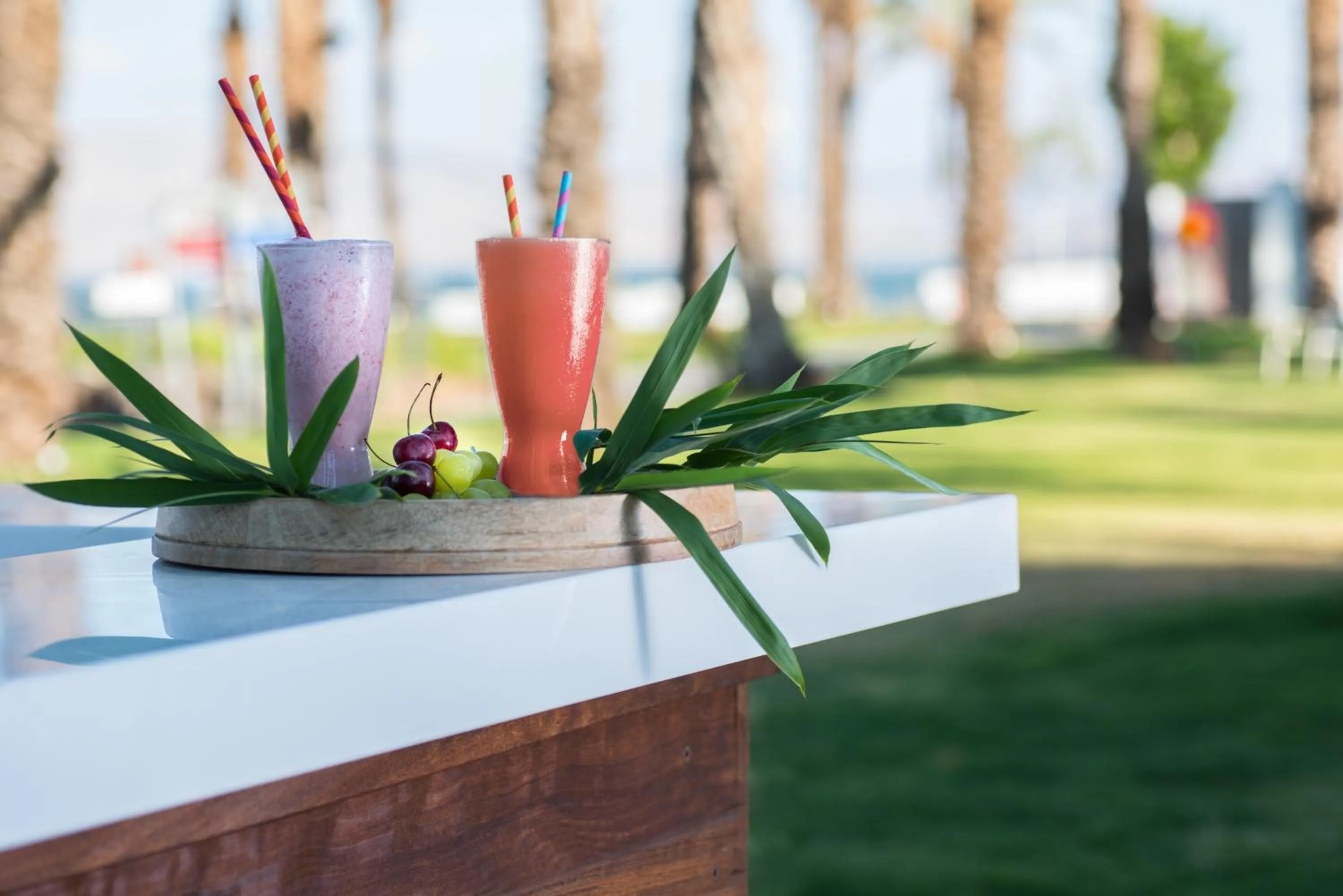 Lounge or bar in U Boutique Kinneret by the Sea of Galilee