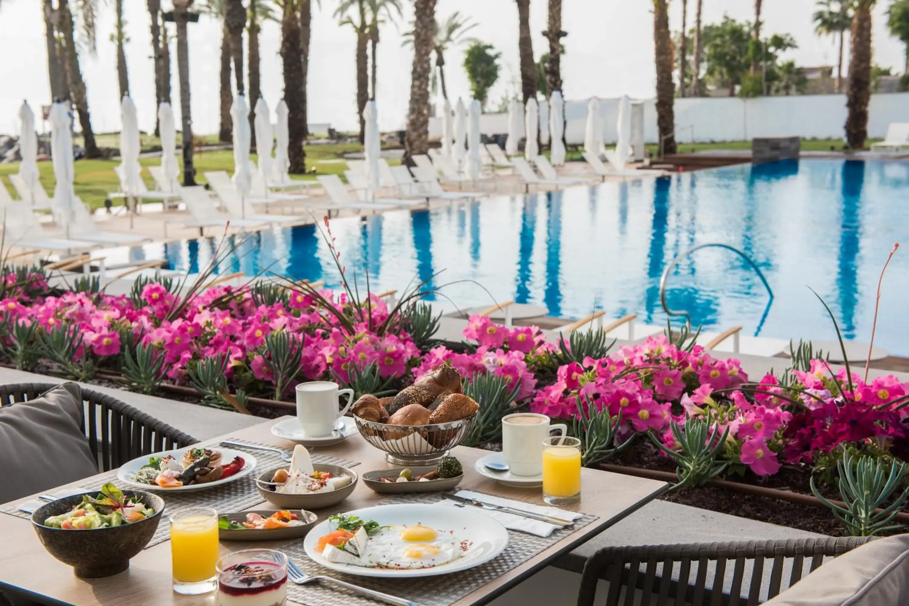 Restaurant/places to eat in U Boutique Kinneret by the Sea of Galilee Restaurant/places to eat in U Boutique Kinneret by the Sea of Galilee