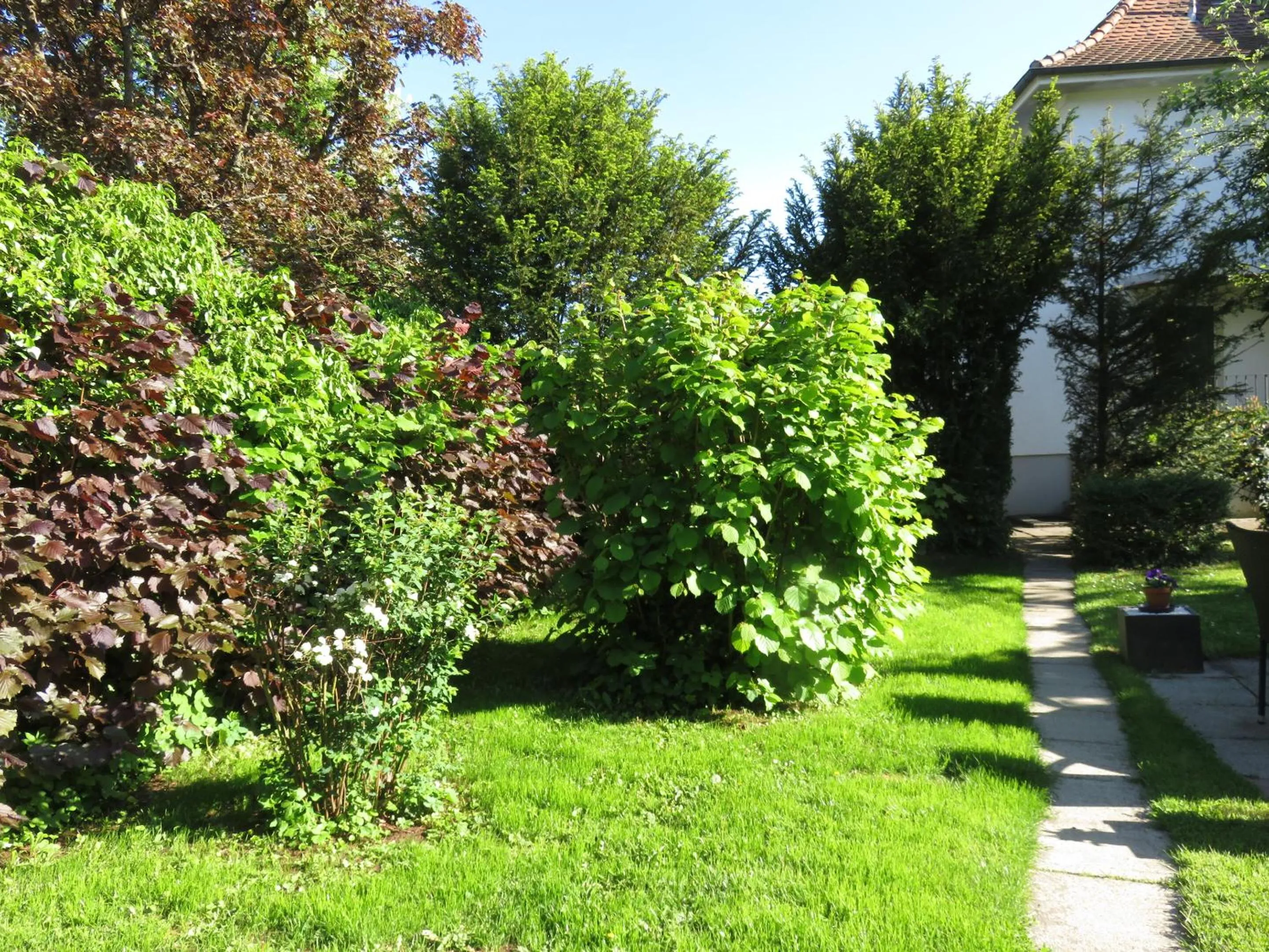 Property building in Pension Säntisblick