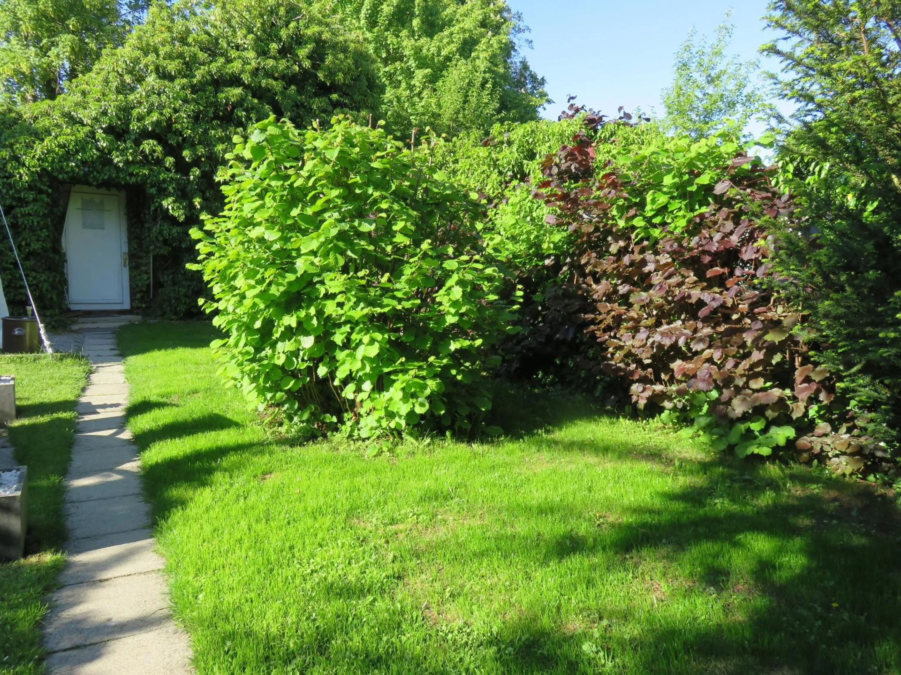 Garden in Pension Säntisblick