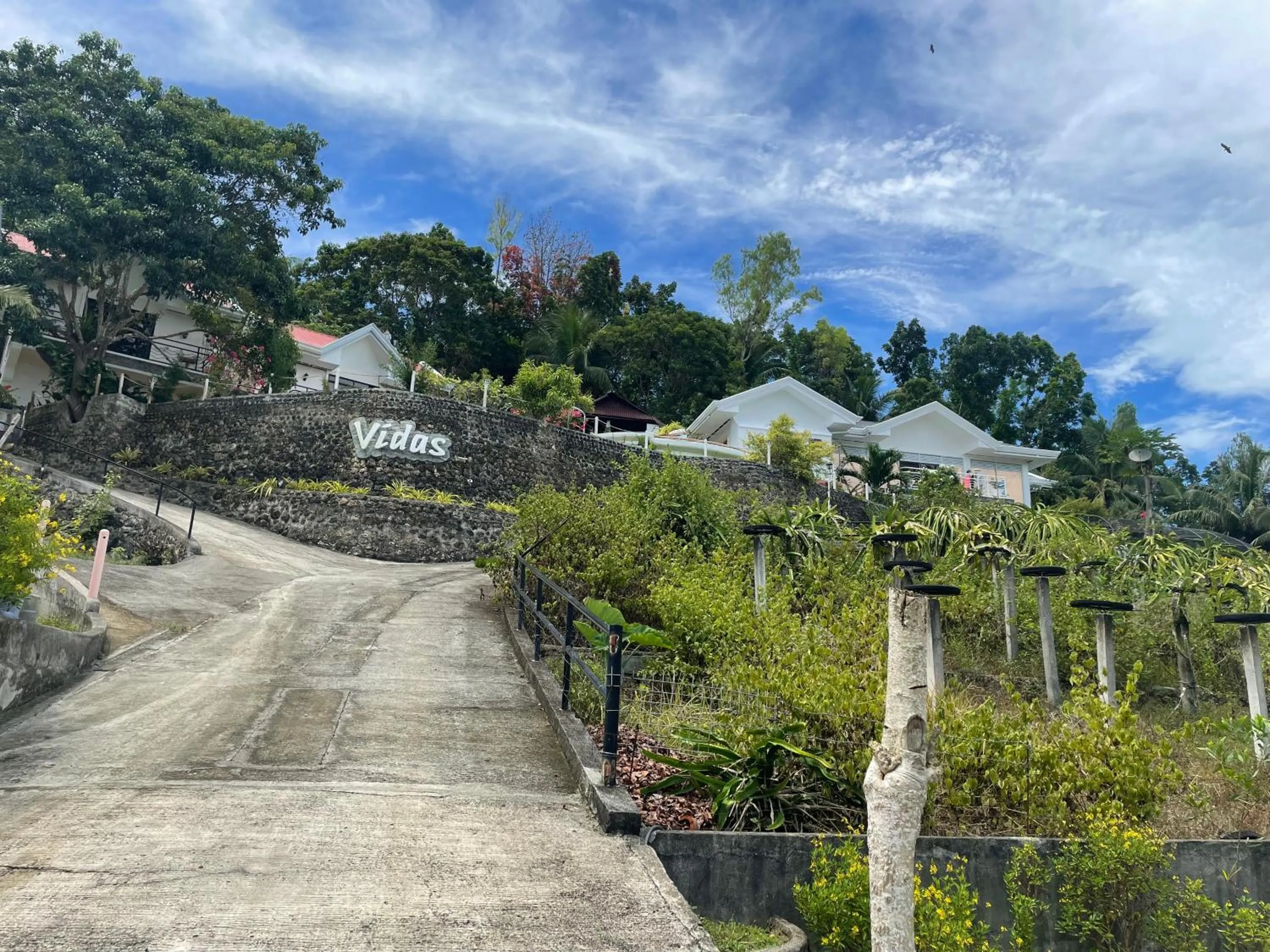 Natural landscape in Vidas Mountain Stay-Bohol